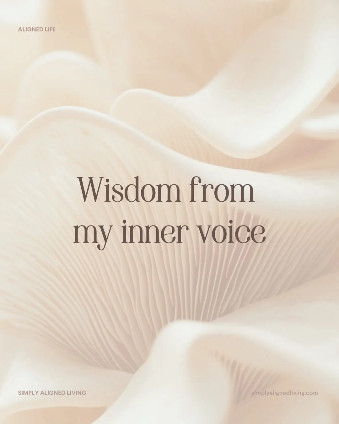 The ability to tap into our own wisdom is one of the most important skills we can cultivate as we move into 2027 and beyond. 

These bits of wisdom came through this morning when my amazing friend and facilitator @lissasandler and I did a session tog