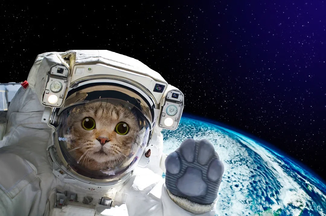 A cat in a space suit floating in space with Earth in the background.