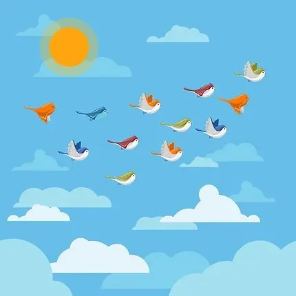Birds flying in the clouds and sun.