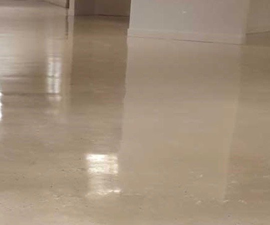 Concrete polished and finished by DMI 