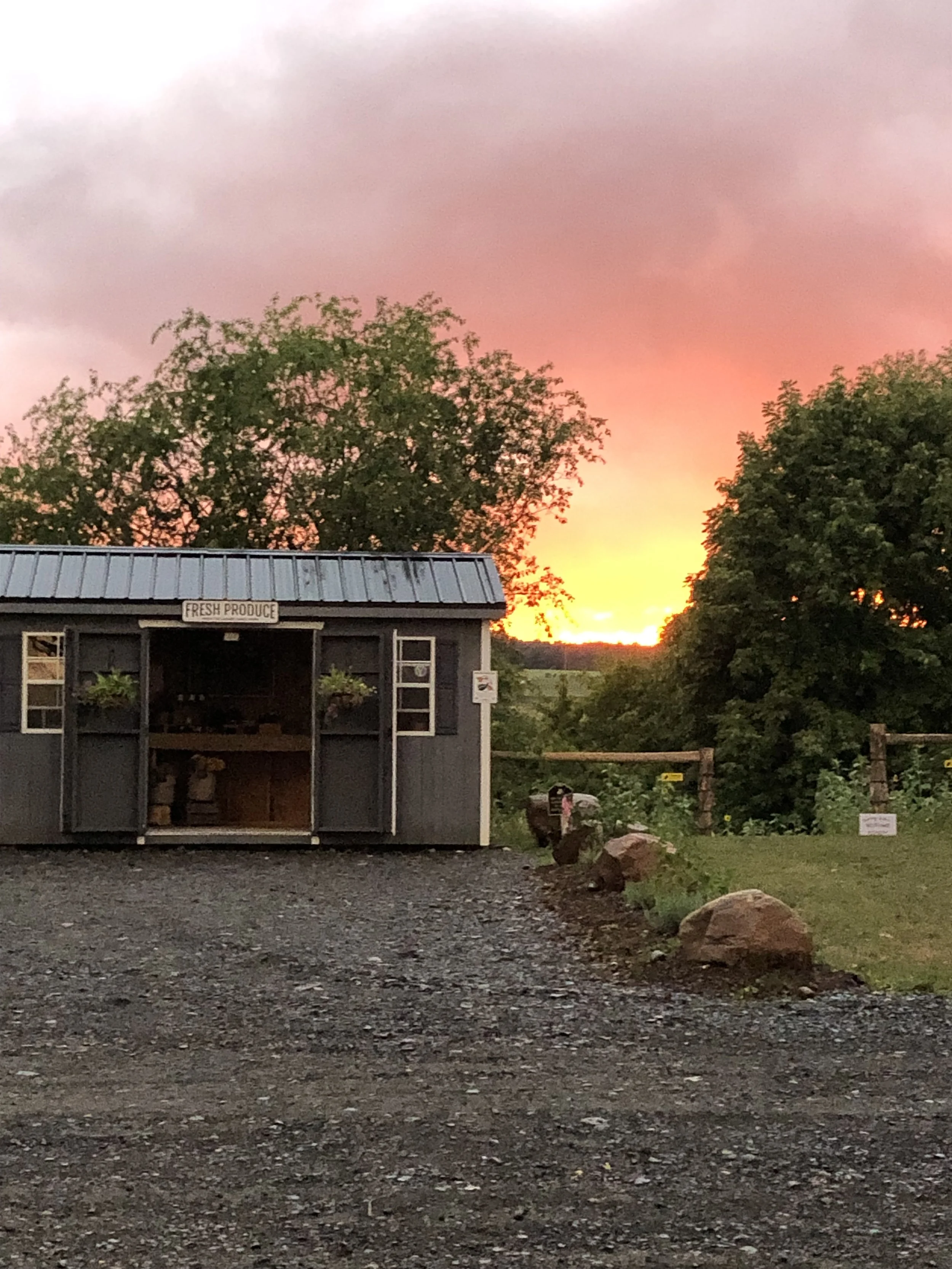 Small gray barn-style shop with open wooden doors, pink flowers hanging outside, a black sign that reads 'Fresh Produce,' and an 'Open' flag fluttering in the breeze. The shop offers homemade treats, soaps, lotions, jams, garden veggies, fresh eggs, strawberries, maple syrup, and organic products.
