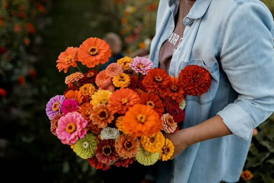 Grower's Choice Flower Bucket