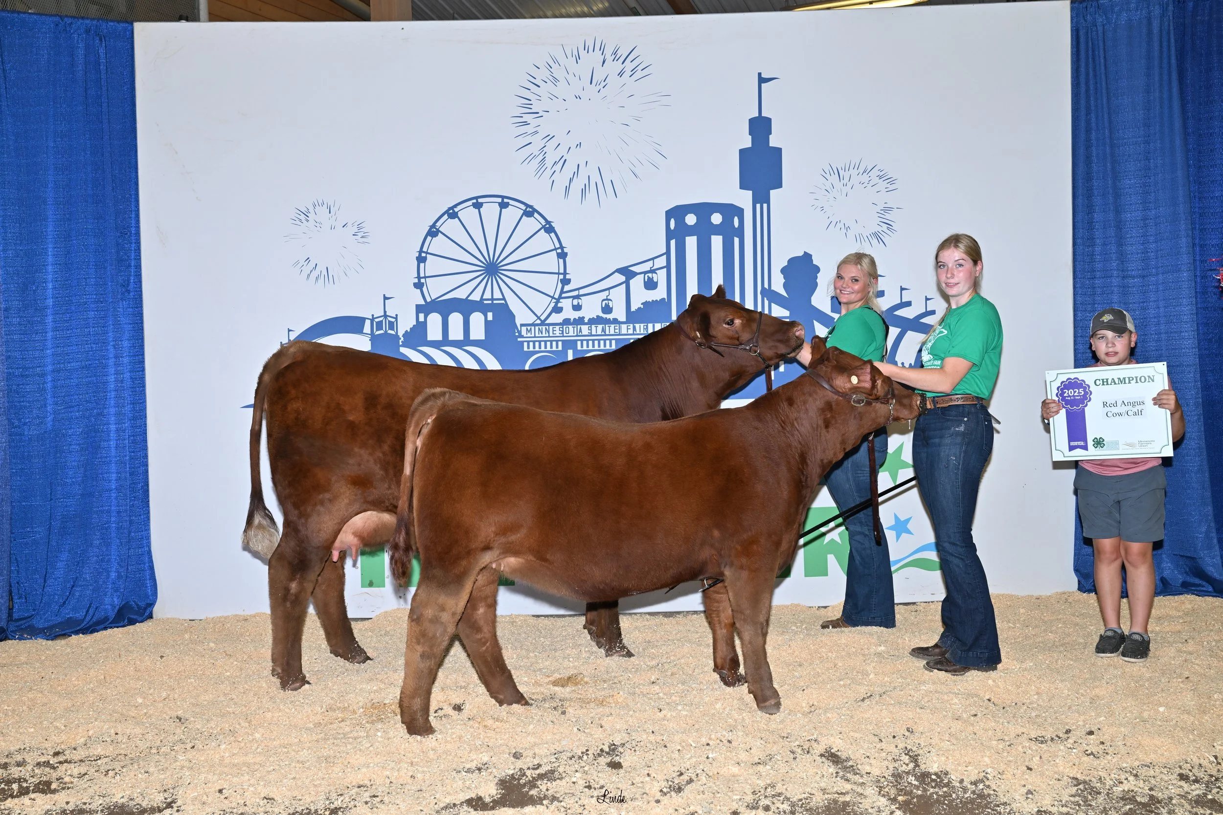 5669%20Beef%20Champion%20Red%20Angus%20Cow%20Calf%20Lilly%20Ostlie%20Swift.jpg