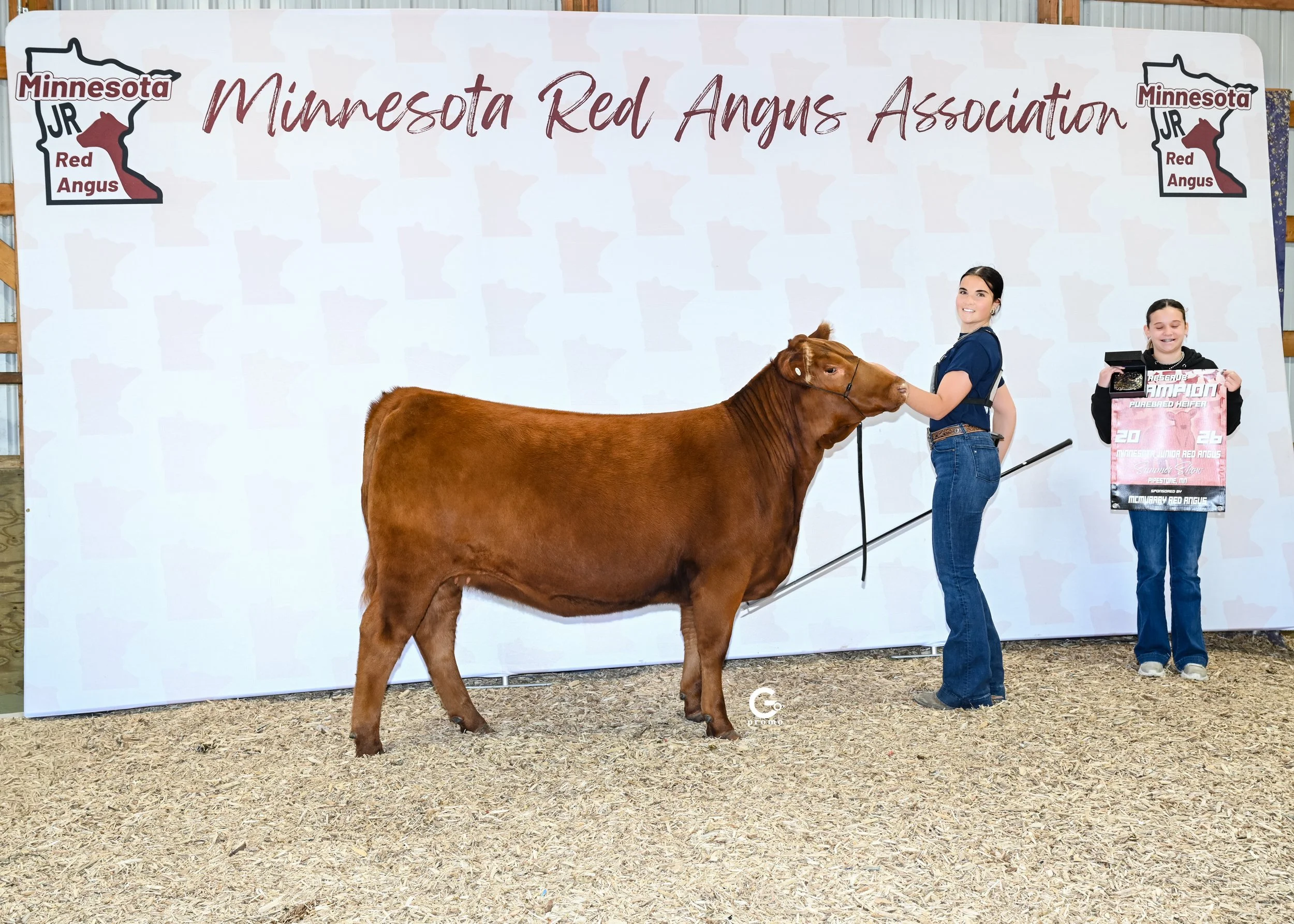 26MNRASS_ResGrChPurebredHeifer_JustineAnderson_1325.jpg