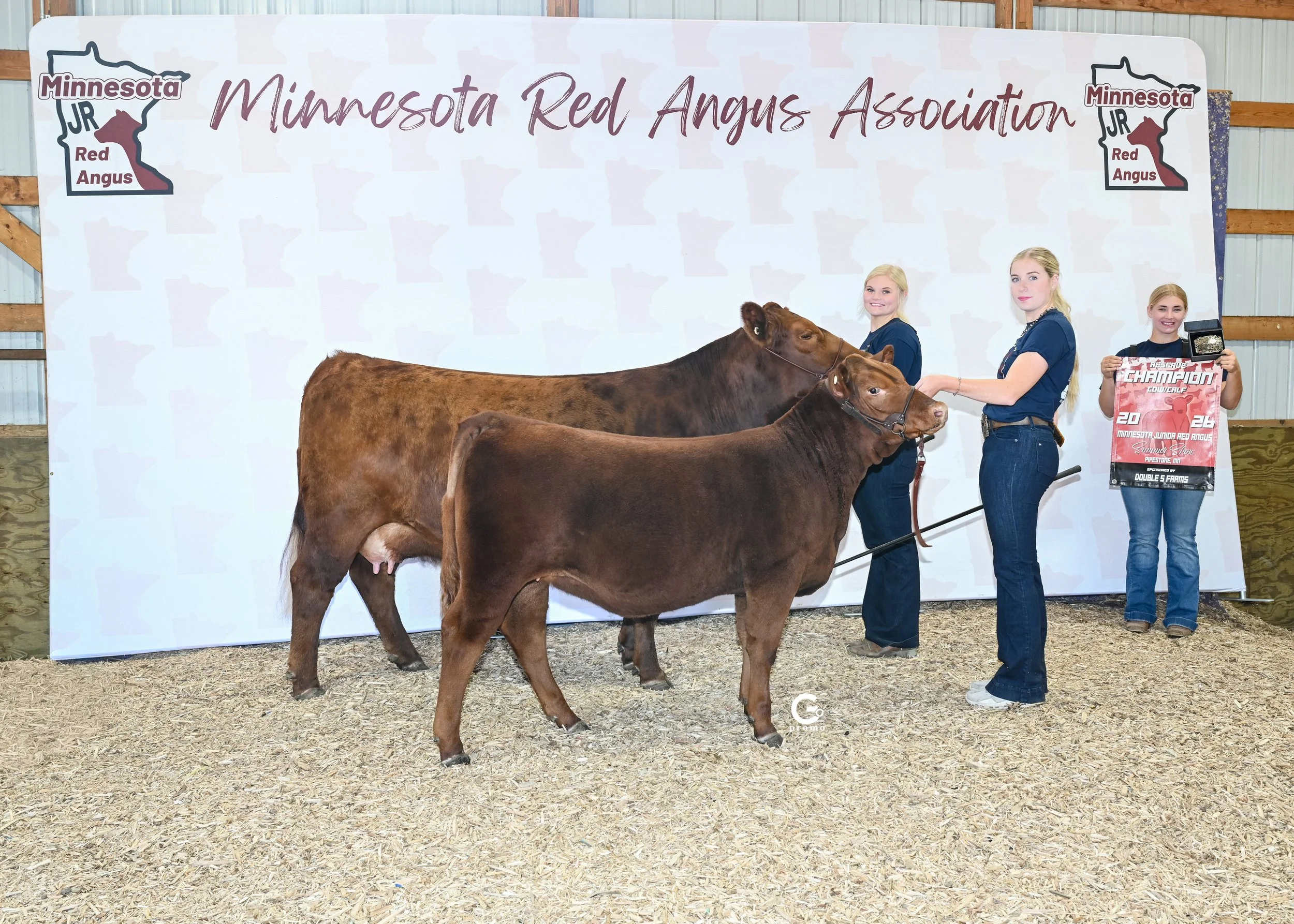 26MNRASS_ResGrChCowCalf_LillyOstlie_1298.jpg