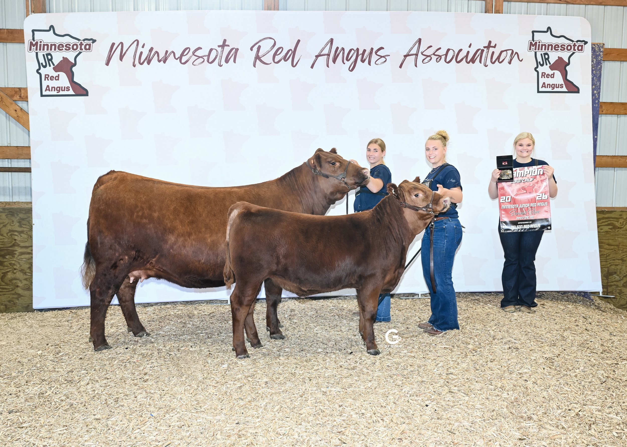 26MNRASS_GrChCowCalf_ShelbieAnderson_1283.jpg