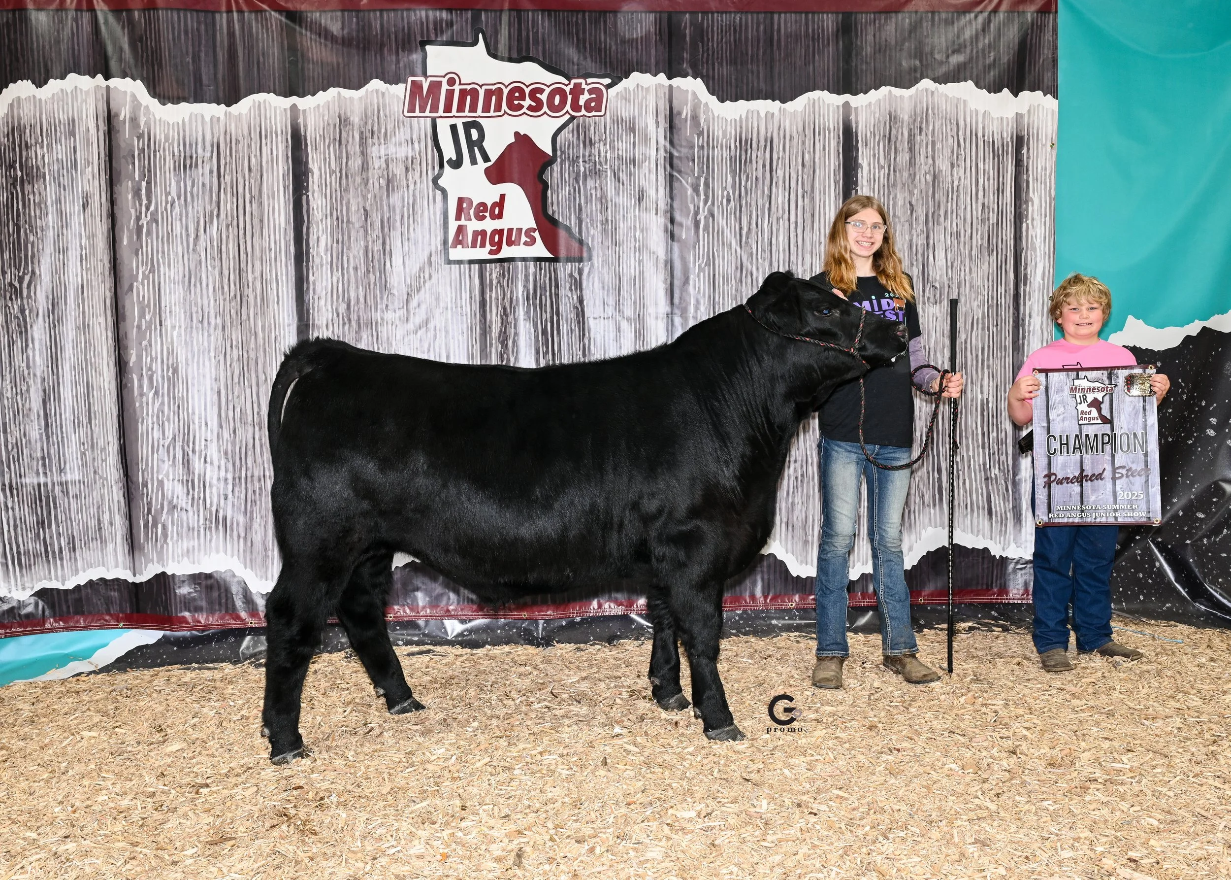 25MNRedAngus_GrChRedAngusSteer_GOP-3113.jpg