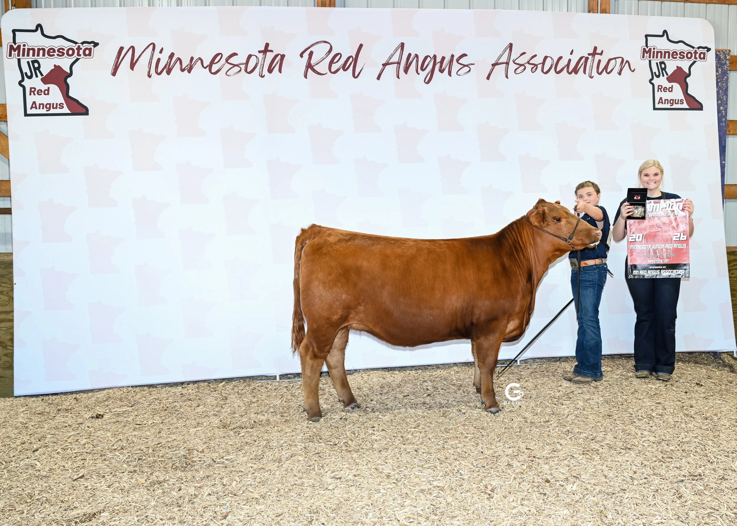 26MNRASS_ChComebackHeifer_AndiWeber_1339.jpg