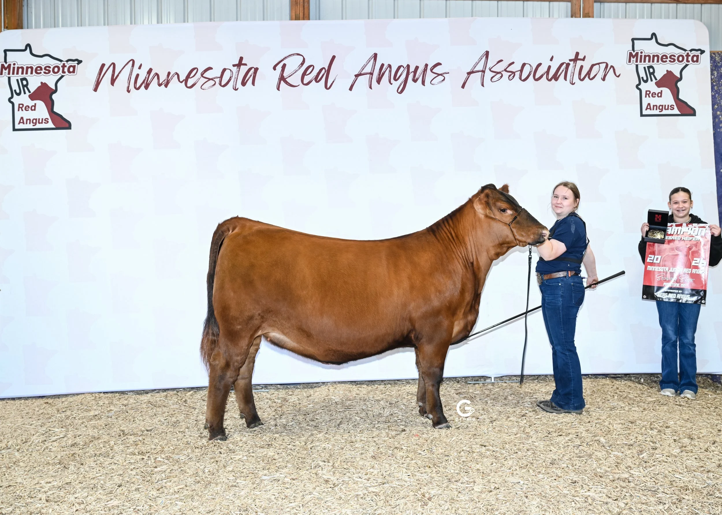 26MNRASS_GrChPurebredHeifer_AveryKohls_1315.jpg