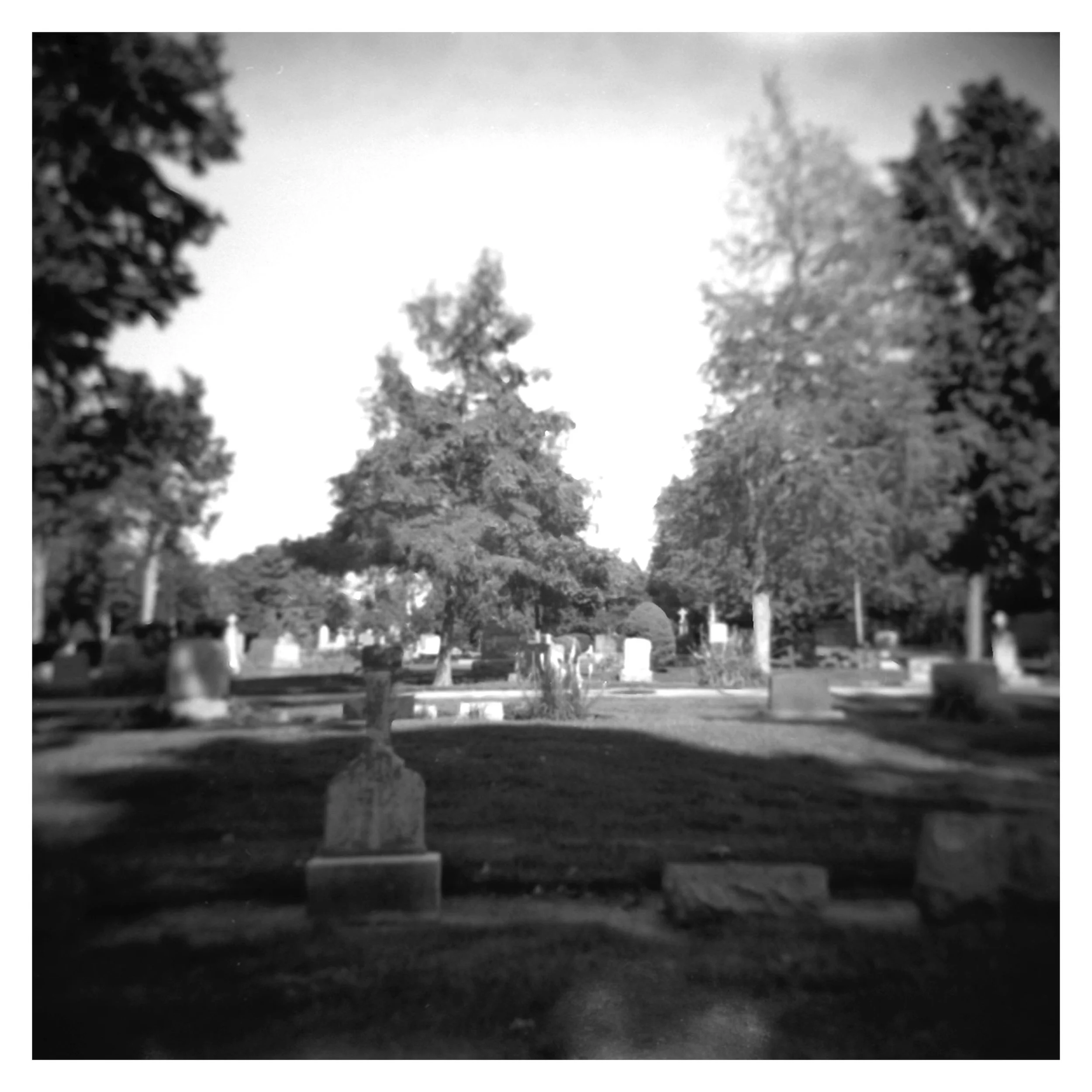 Kodak TMax 400, 120 shot on a Holga