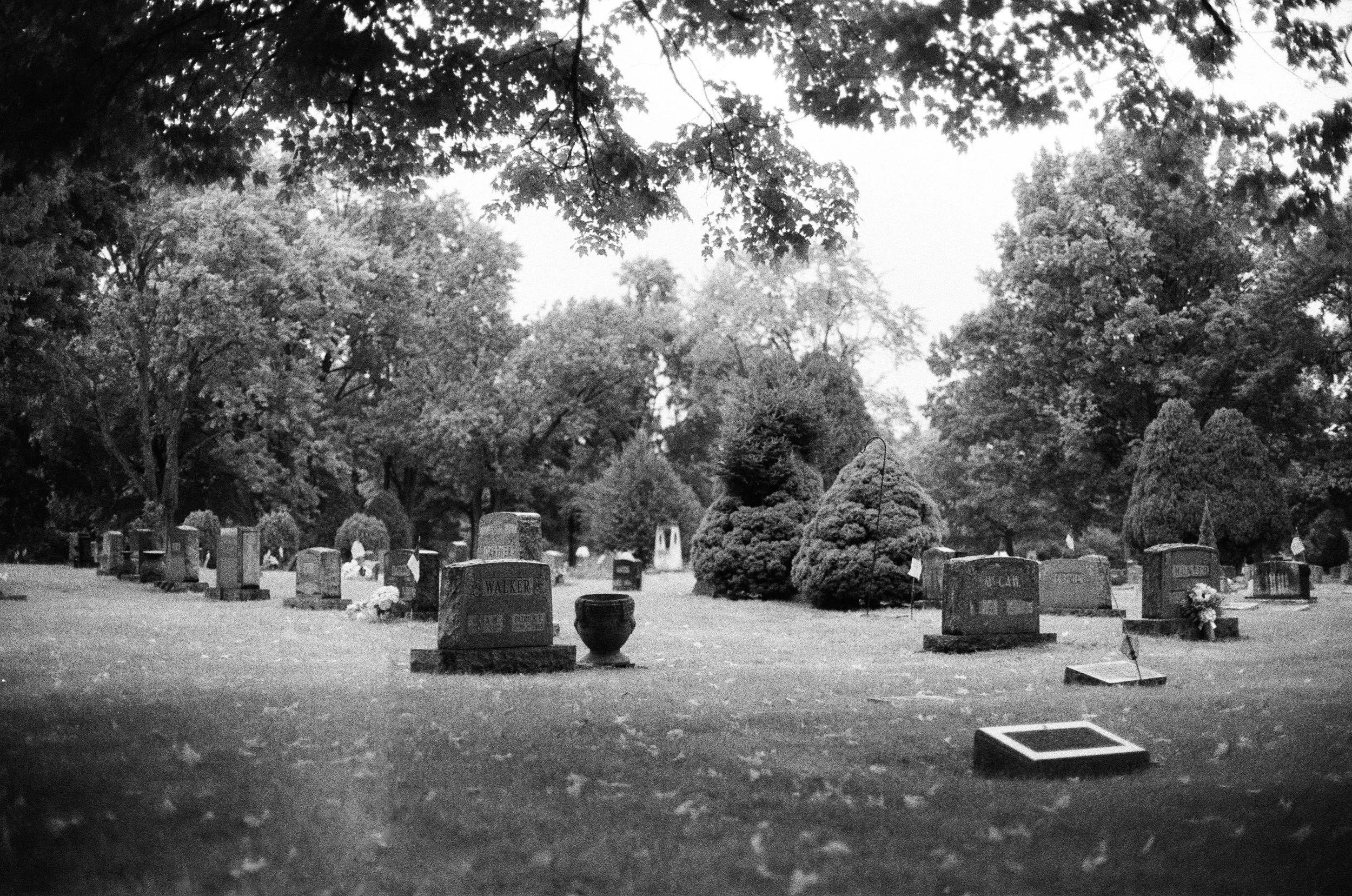 Ilford SFX 200, shot on a Canon A-1