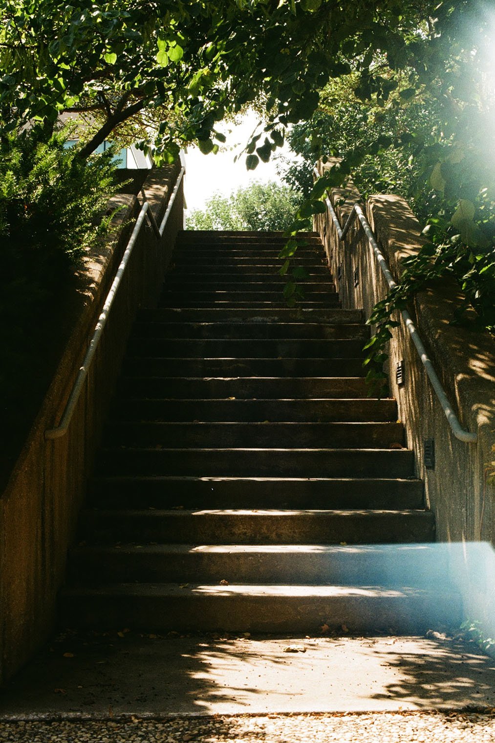 Kodak Color Plus 200, shot on a Canon A-1