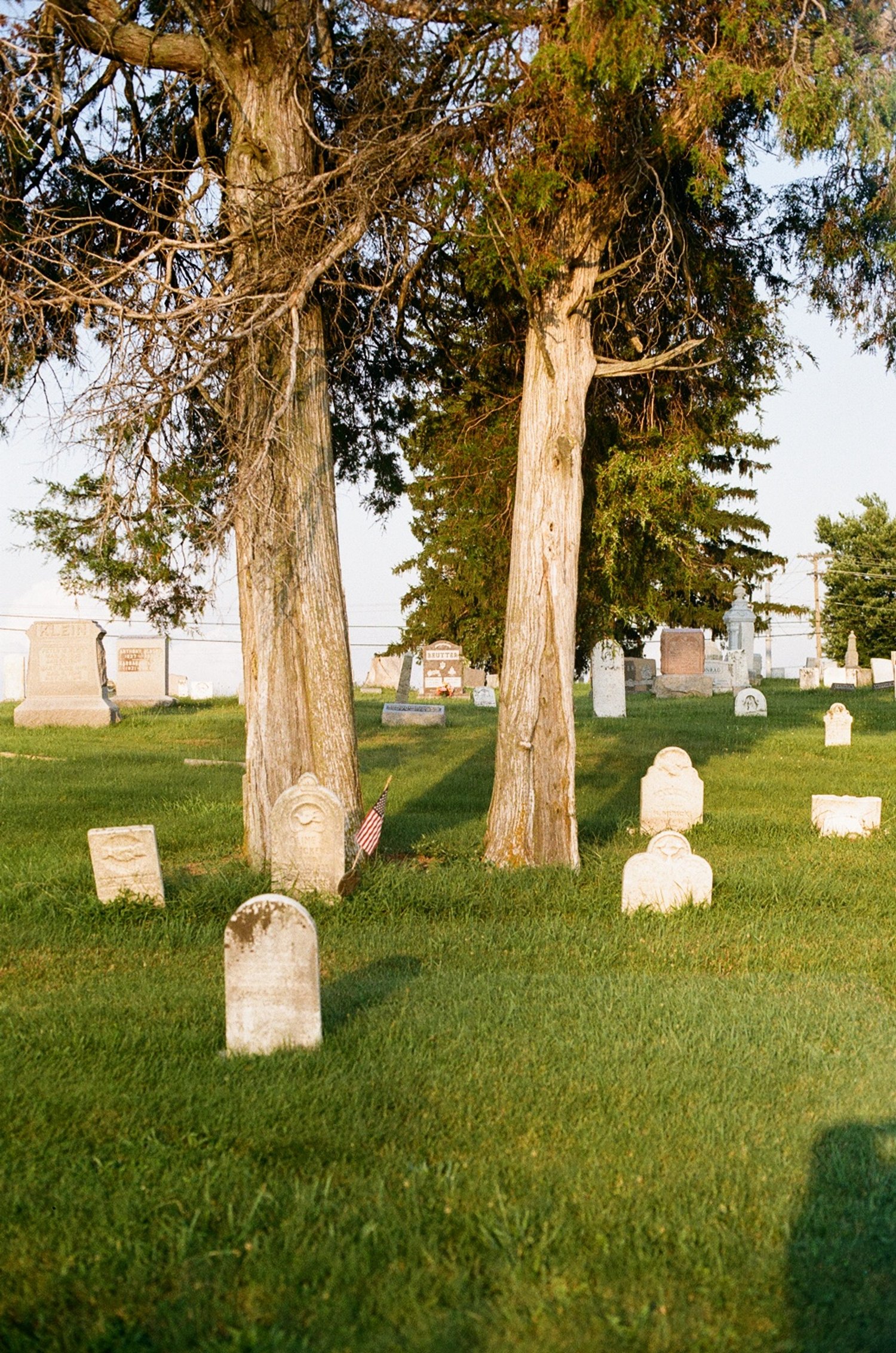 Kodak Color Plus 200, shot on a Canon A-1