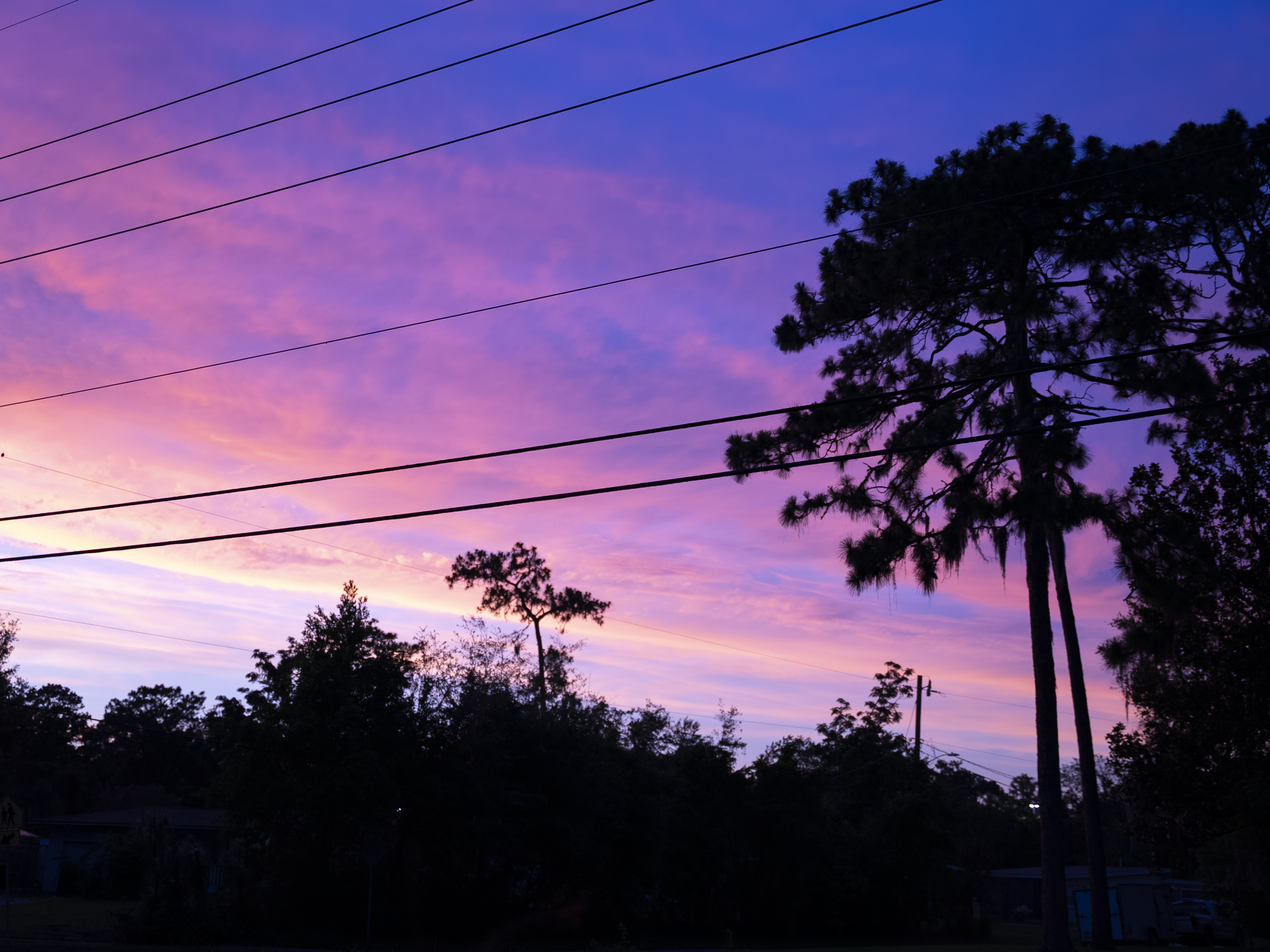 purple-sky.png