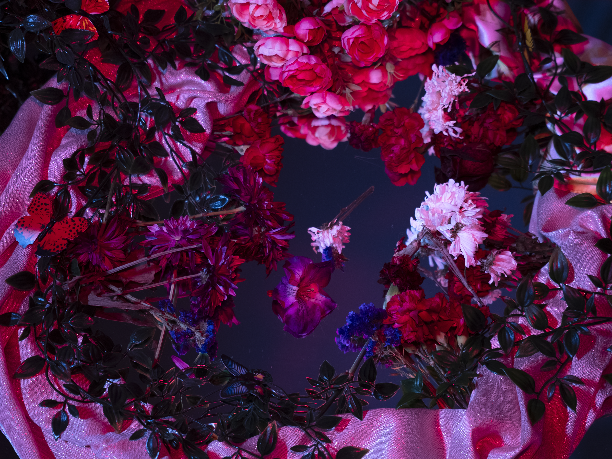 still-life-2.png