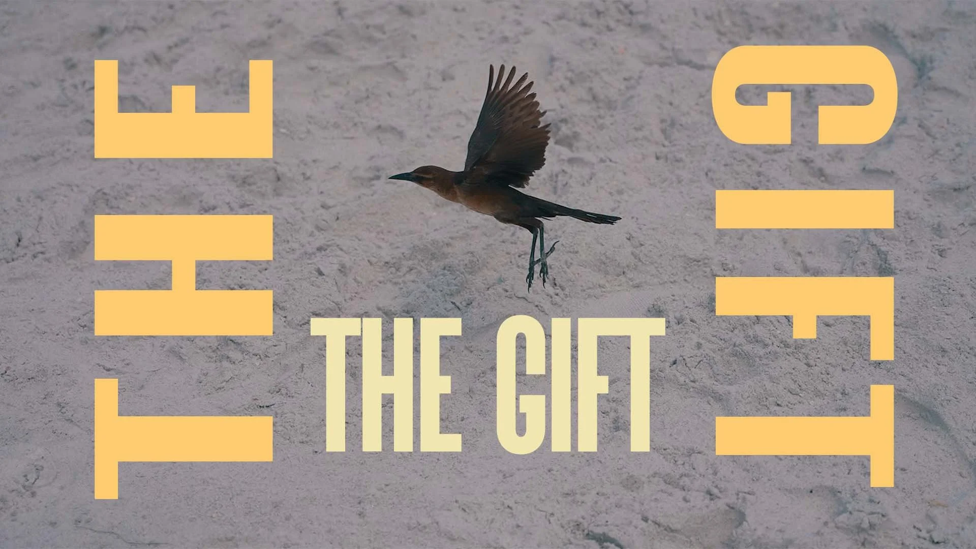 THE GIFT THUMBNAIL.jpg