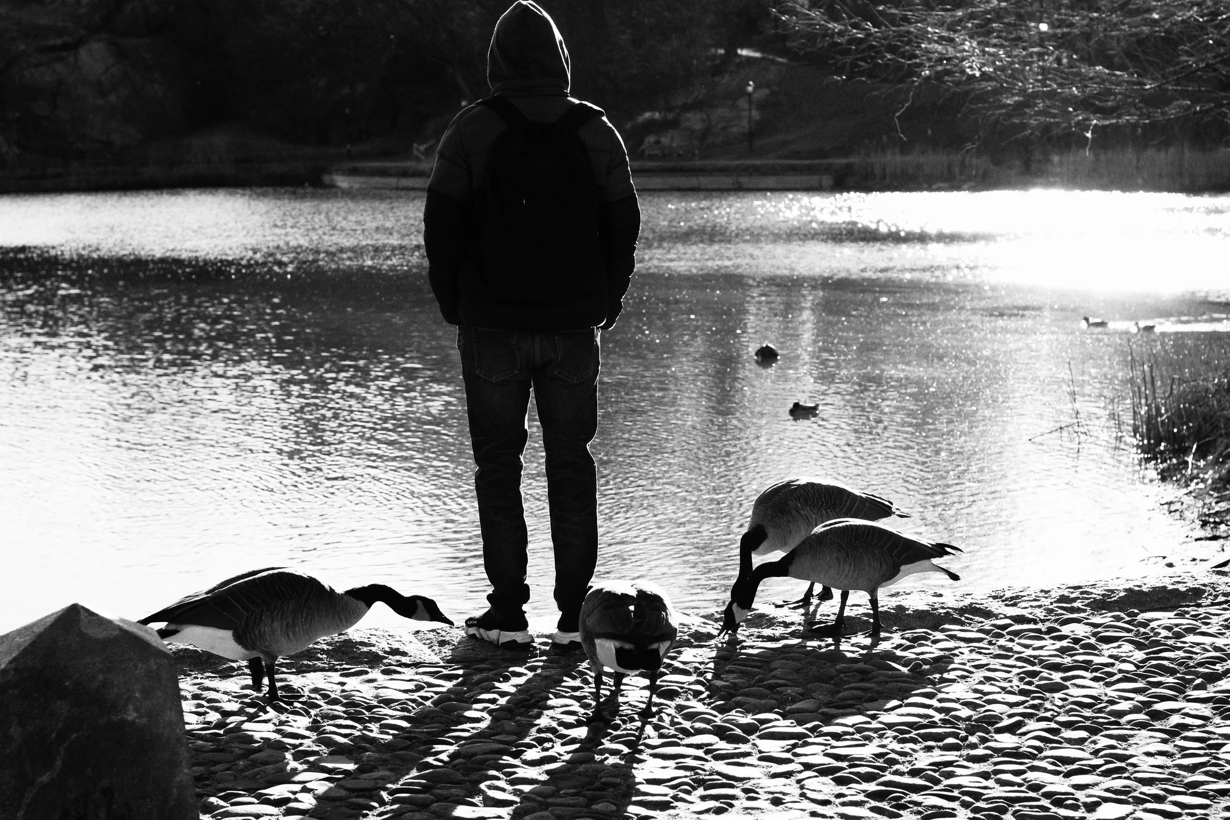 FullSizeRender 2.jpg