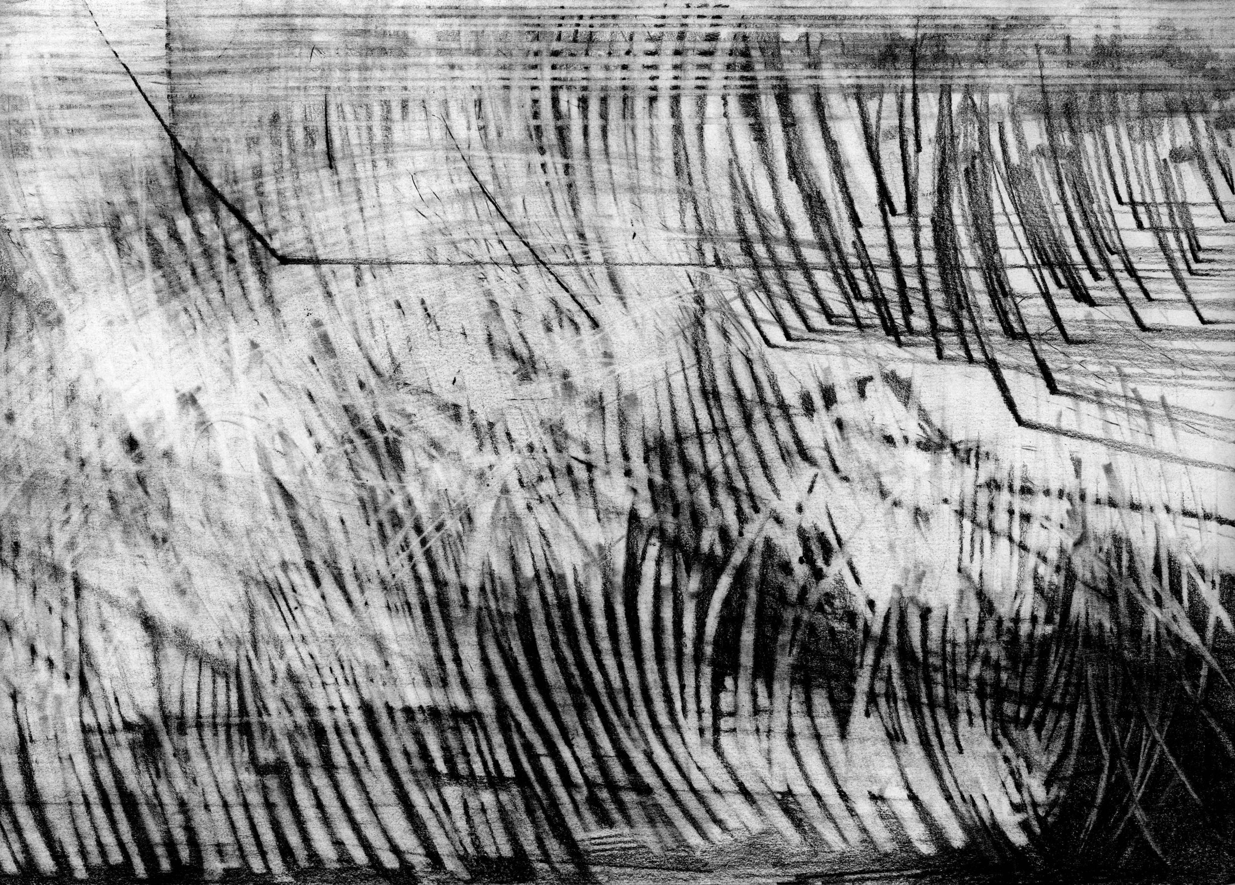 6B graphite on paper, 8.5" x 11" inches, 2026.