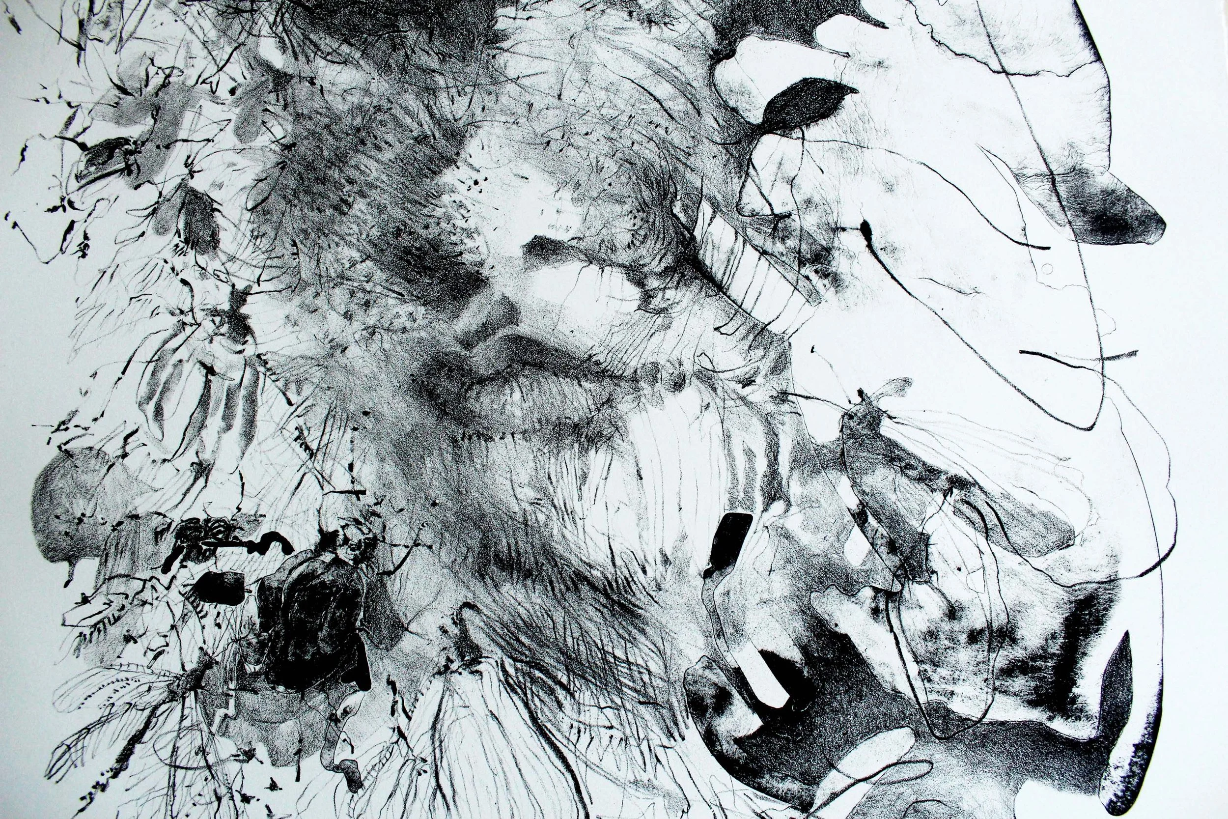 Self Portrait with Fishflies, detail, lithograph on Arches paper, 15" x 20" inches, 2019.