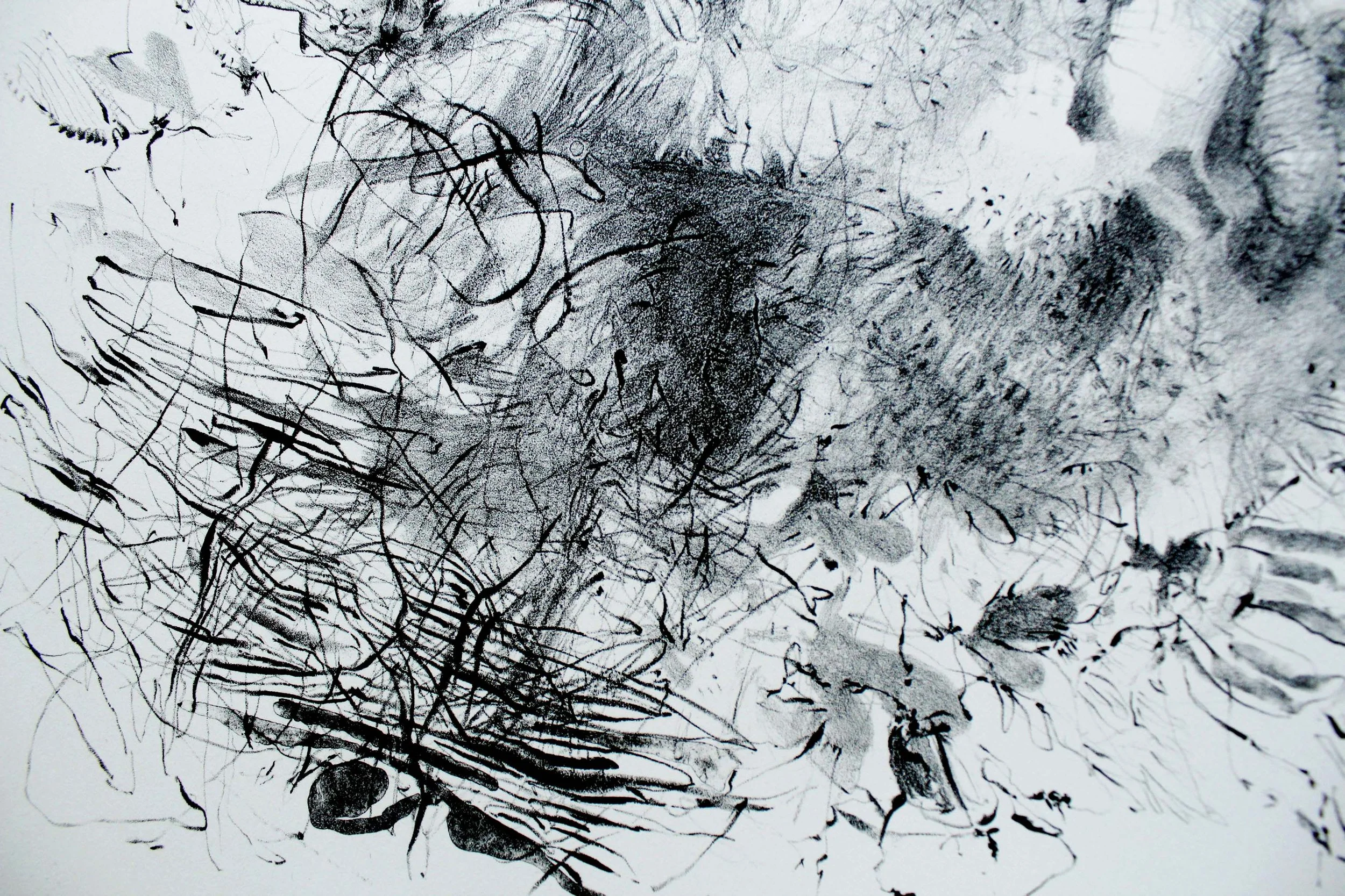 Self Portrait with Fishflies, detail, lithograph on Arches paper, 15" x 20" inches, 2019.