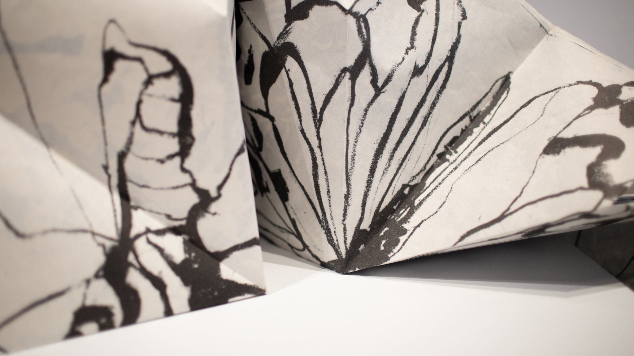 Everything is Muscle and Exists, detail, lithography, cyanotype, and digital printing on Kozuke paper, glue, thread, 2023.
Photo by Josh Jensen.
