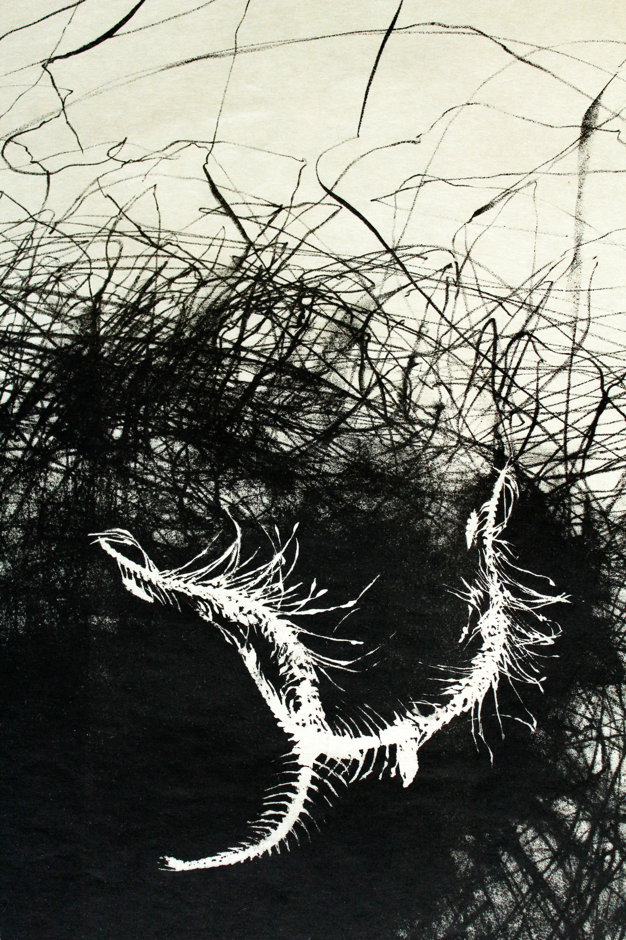 Untitled (Capelin), detail, lithograph on Kozuke paper, 22" x 15" inches, 2025.