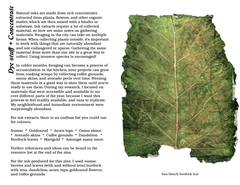 eco_zine_Levana_ENG_web_03.jpg
