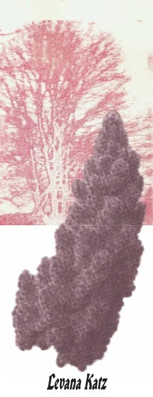 Written by Levana Katz, 
designed by Joé Côté-R 
PDF download available at https://www.concordia.ca/finearts/about/galleries-venues/fofa-gallery/sustainability.html