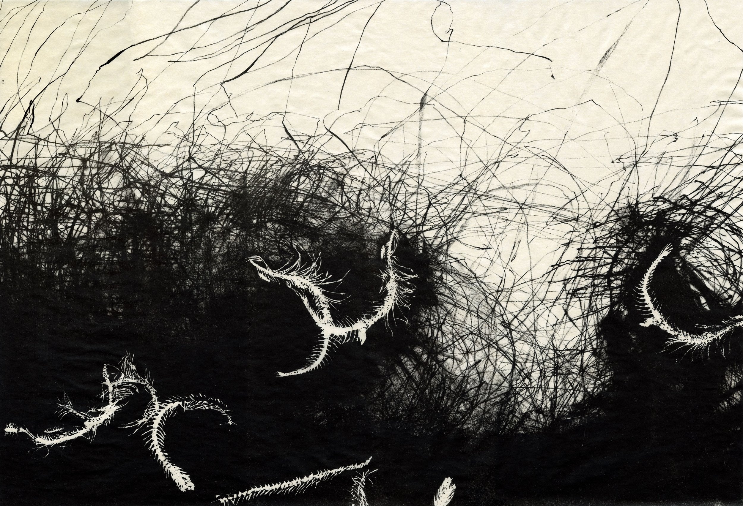 Untitled (Capelin), lithograph on Kozuke paper, 22" x 15" inches, 2025.