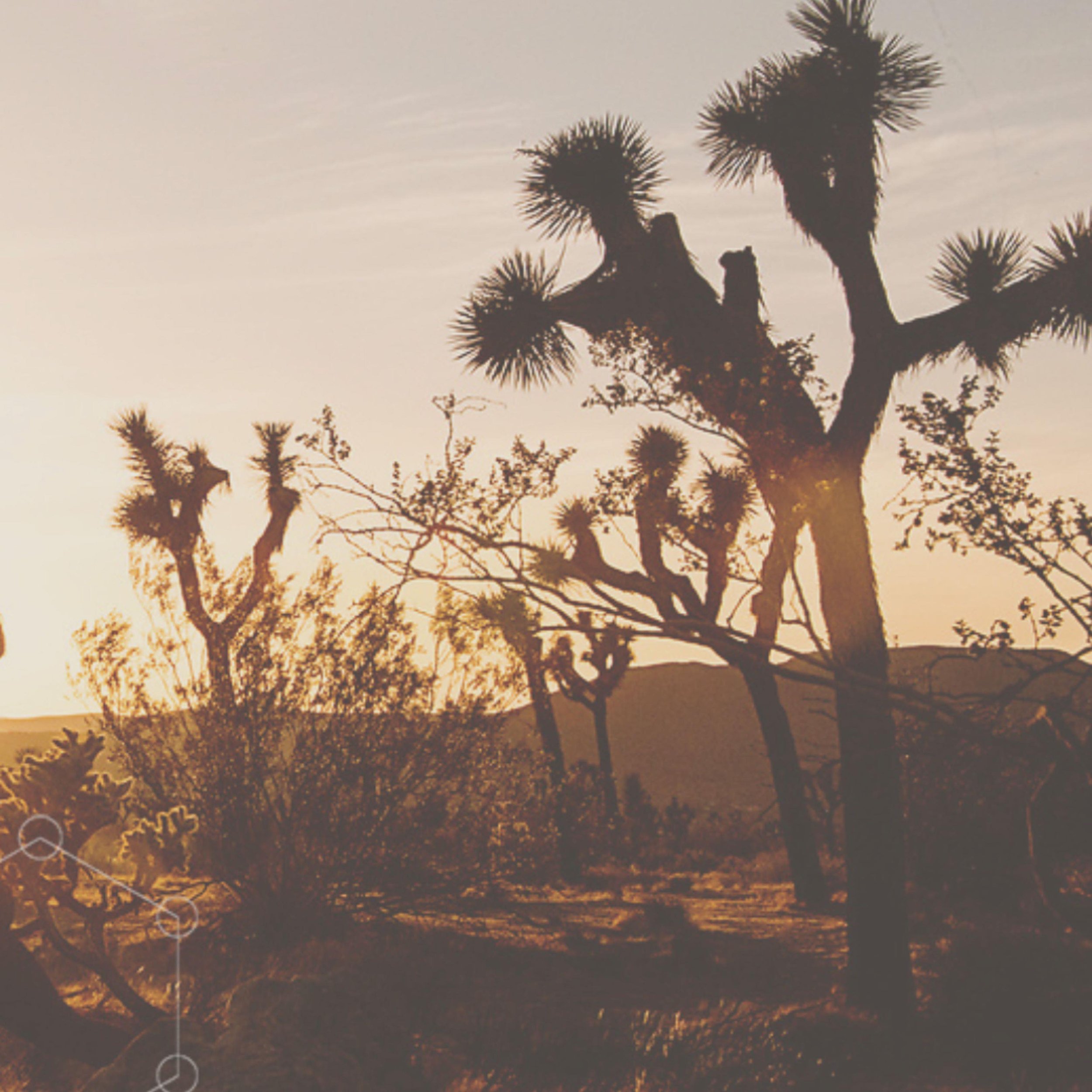 Have you been spending enough time in nature?

We are so grateful to be located so close to the Joshua Tree National Park in this magical hi-desert area filled with beautiful hiking trails, breathtaking panoramas and awe inspiring skies! Every day is