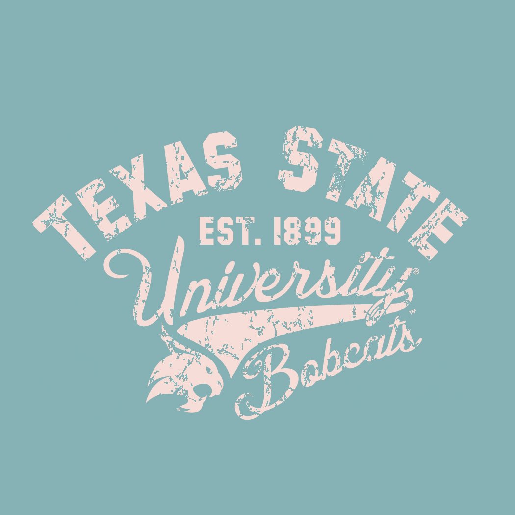 texas-state-graphic-tee.jpg