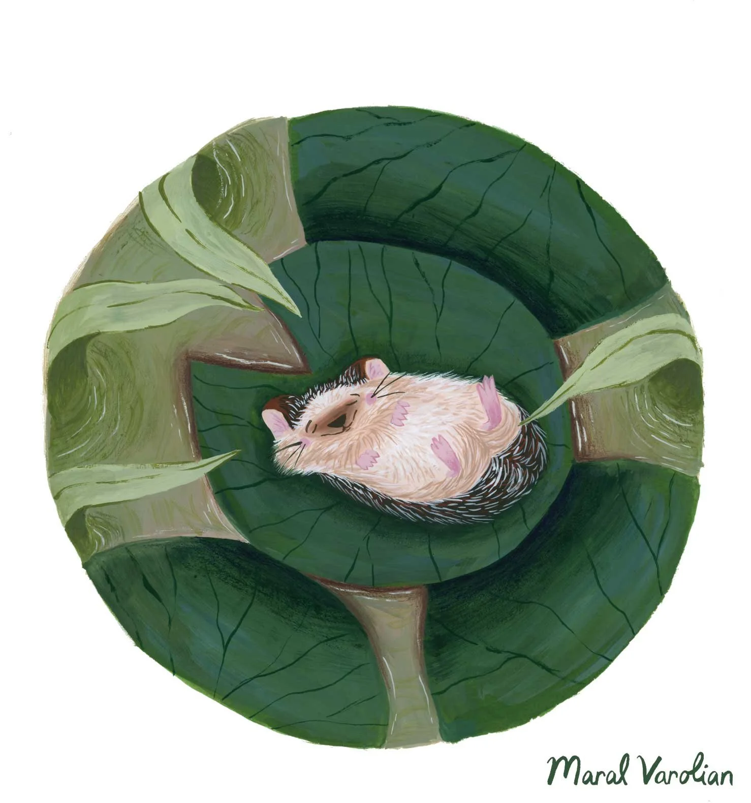 MaralVarolian_Hedgehog_Childrens_Book_Illustration.jpg