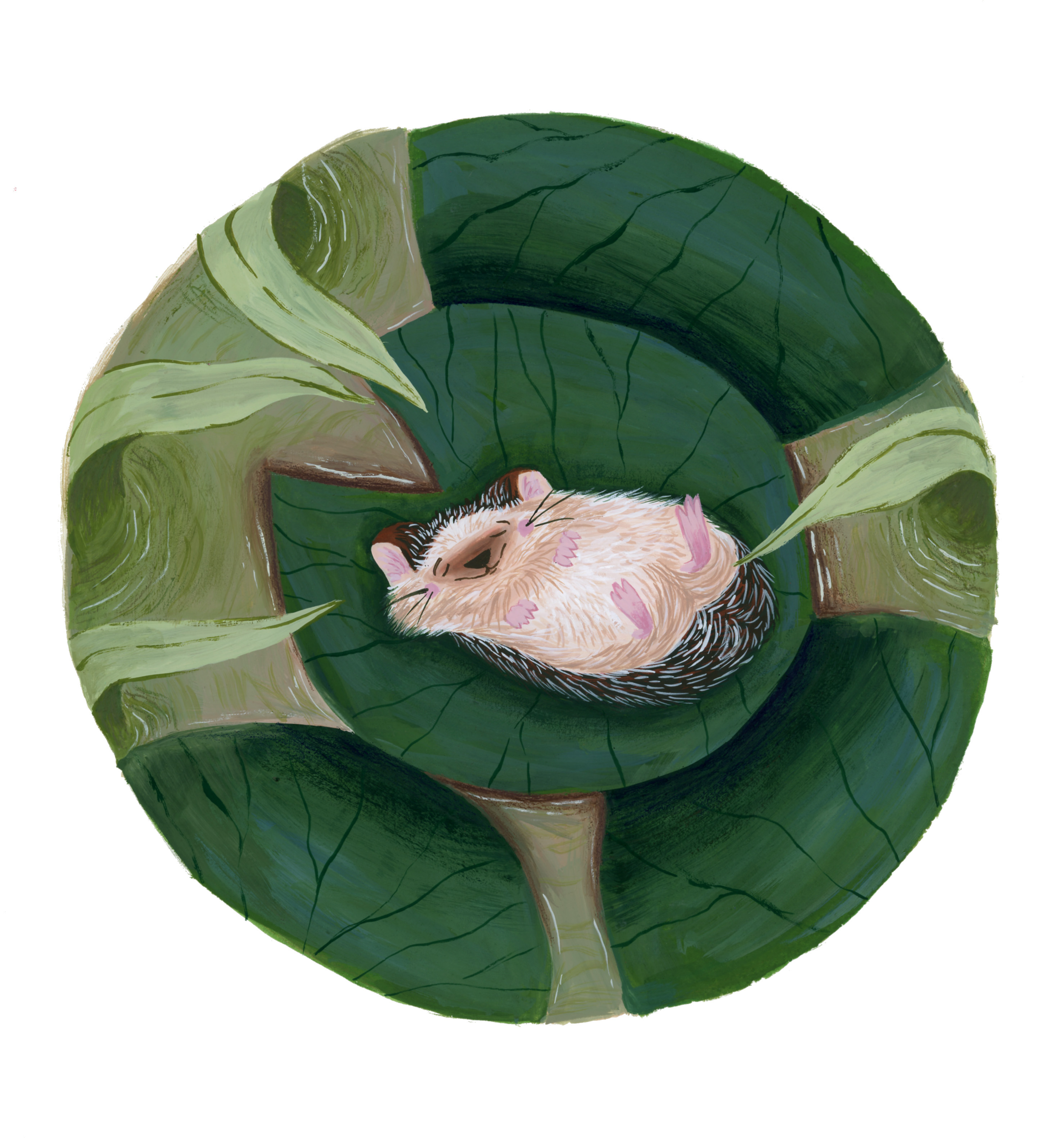 MaralVarolian_HedgehogIllustration.png