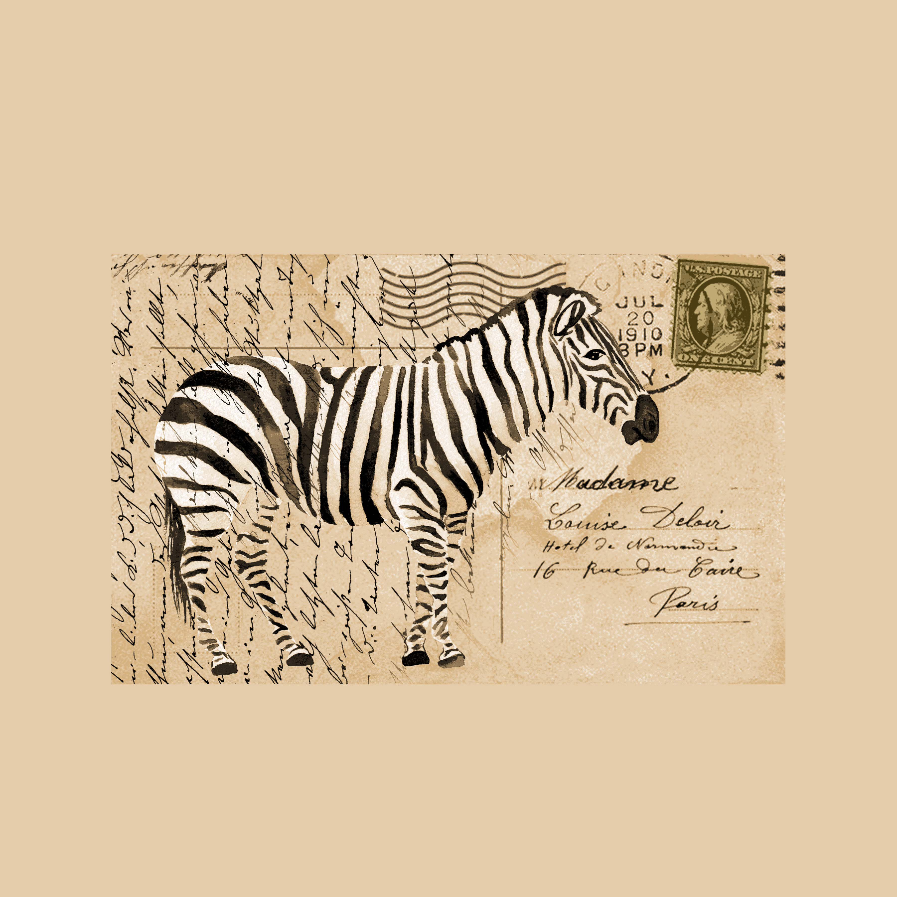 zebra-graphic-tee.png