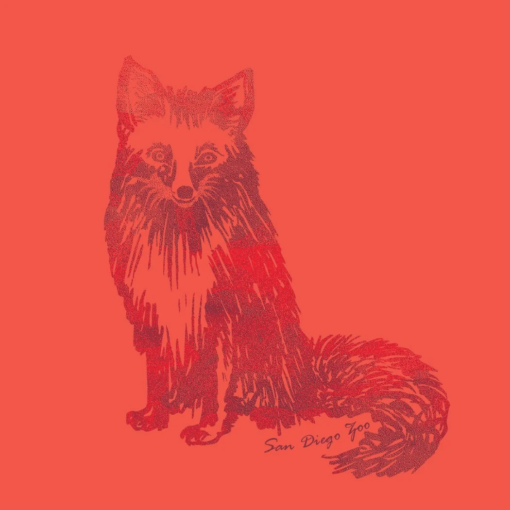 fox-graphic-tee.jpg