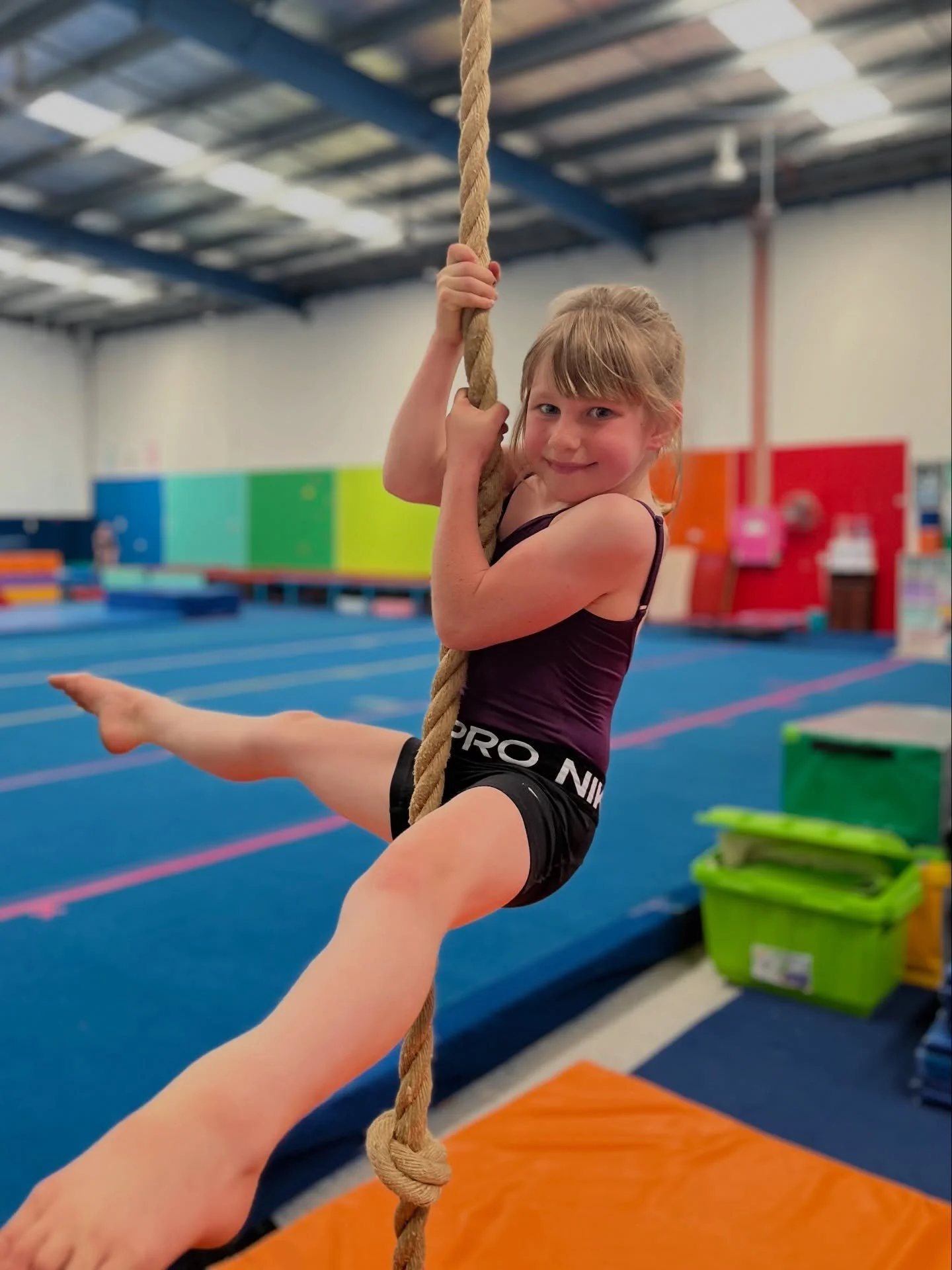 Training strong bodies &amp; confident minds 💪🏼💕
Join us at Wildcats Gymnastics this term where every 
lesson builds strength, resilience and self-belief 🤩

Think you have what it takes to climb to the top of the rope? 👀 Mid-term enrolments are 
