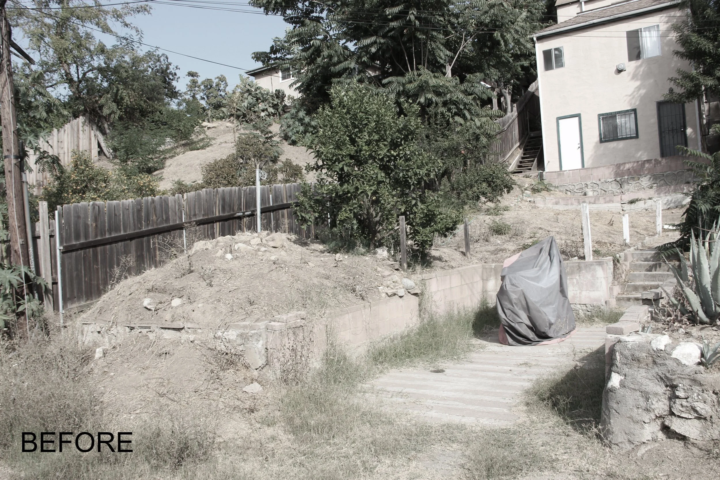 Before Garden.jpg