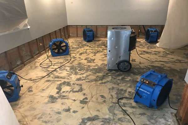 Precision Restoration and Decontamination