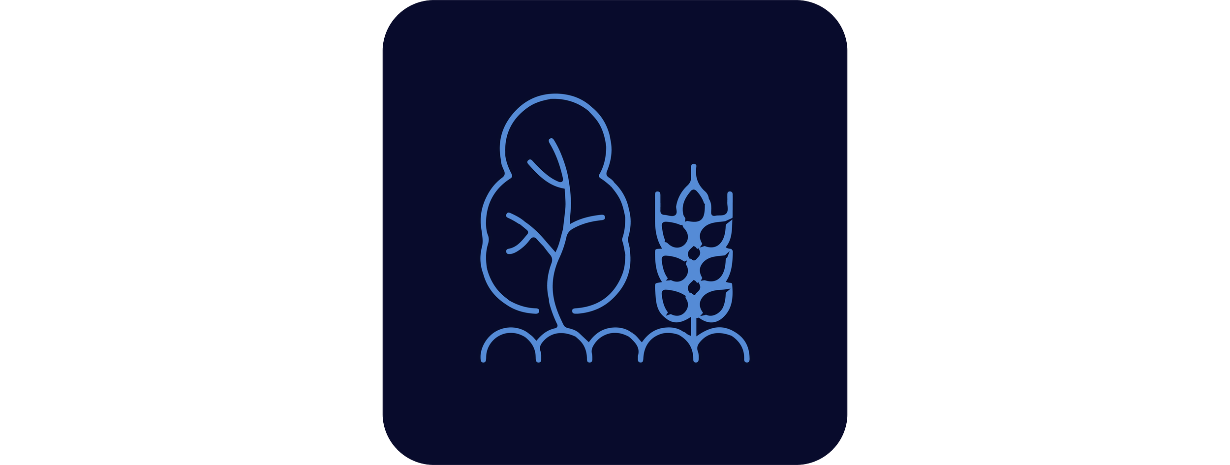 Dealer-Wholesale-Suppliers-icon-07.png
