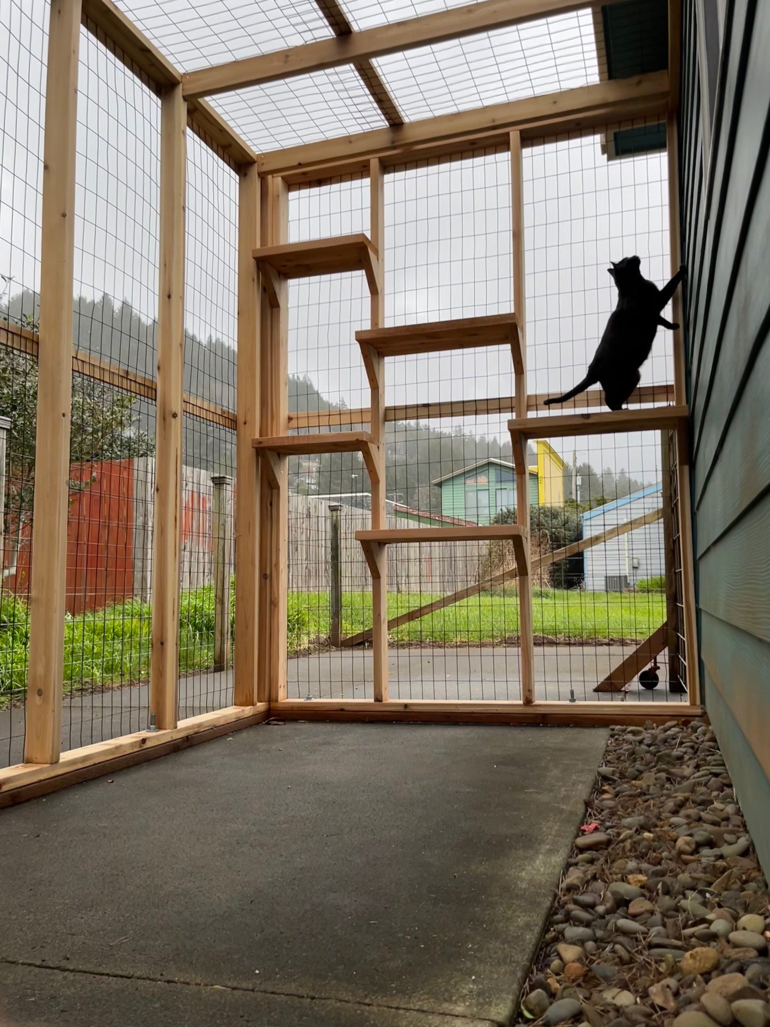 CATIO INSIDE - 1