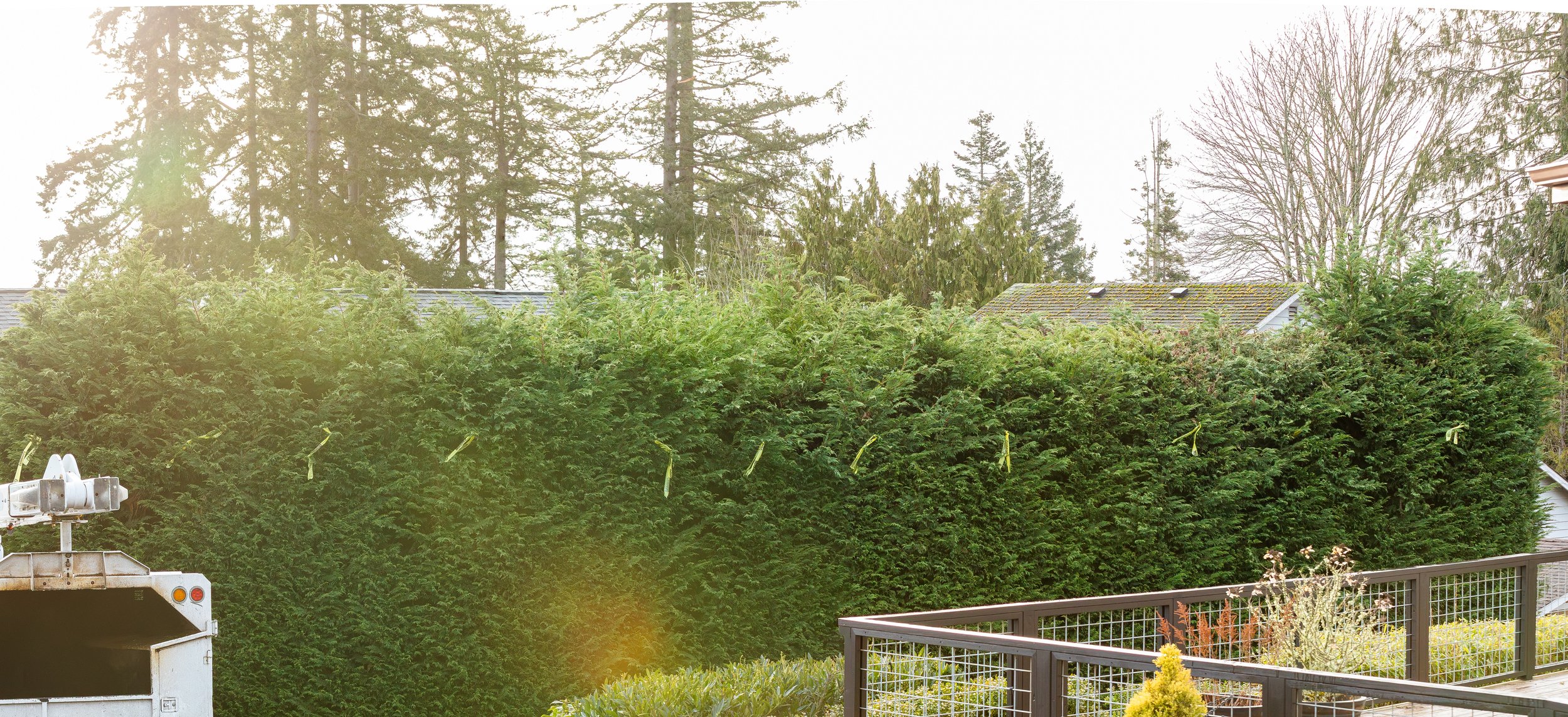 432A2333-Pano-Enhanced-NR.jpg