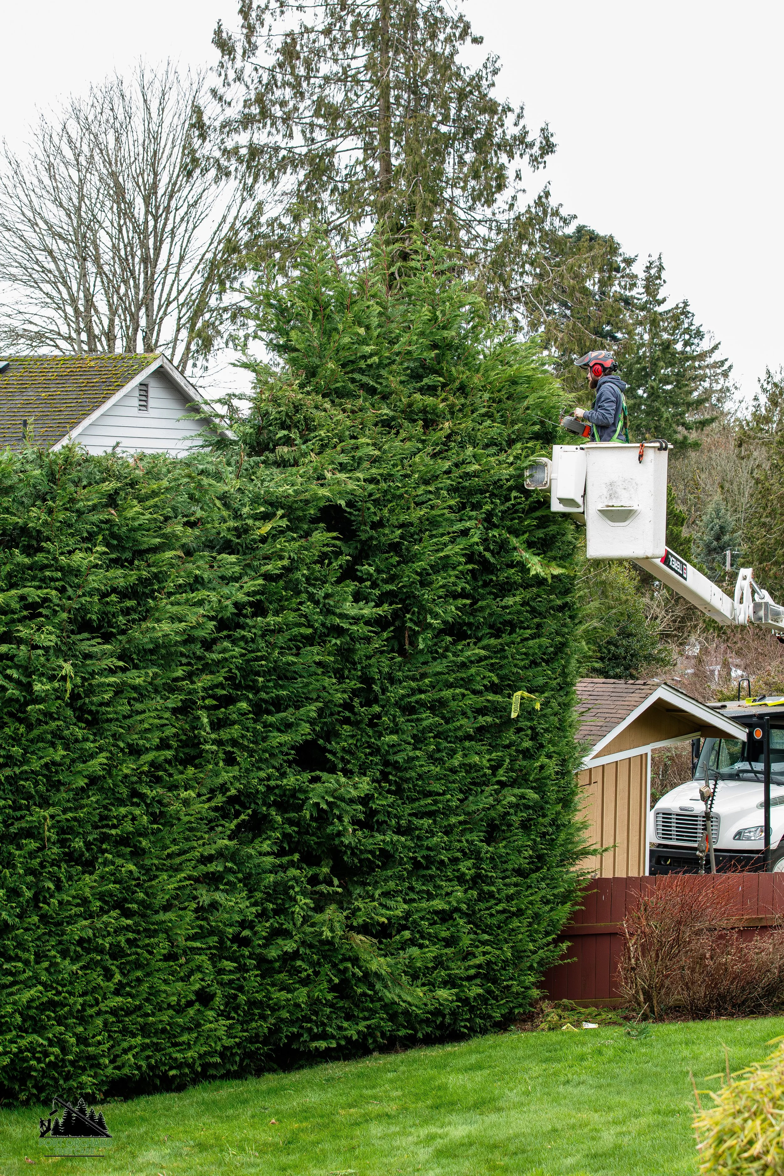 Hedge.DaveSmith-21.jpg