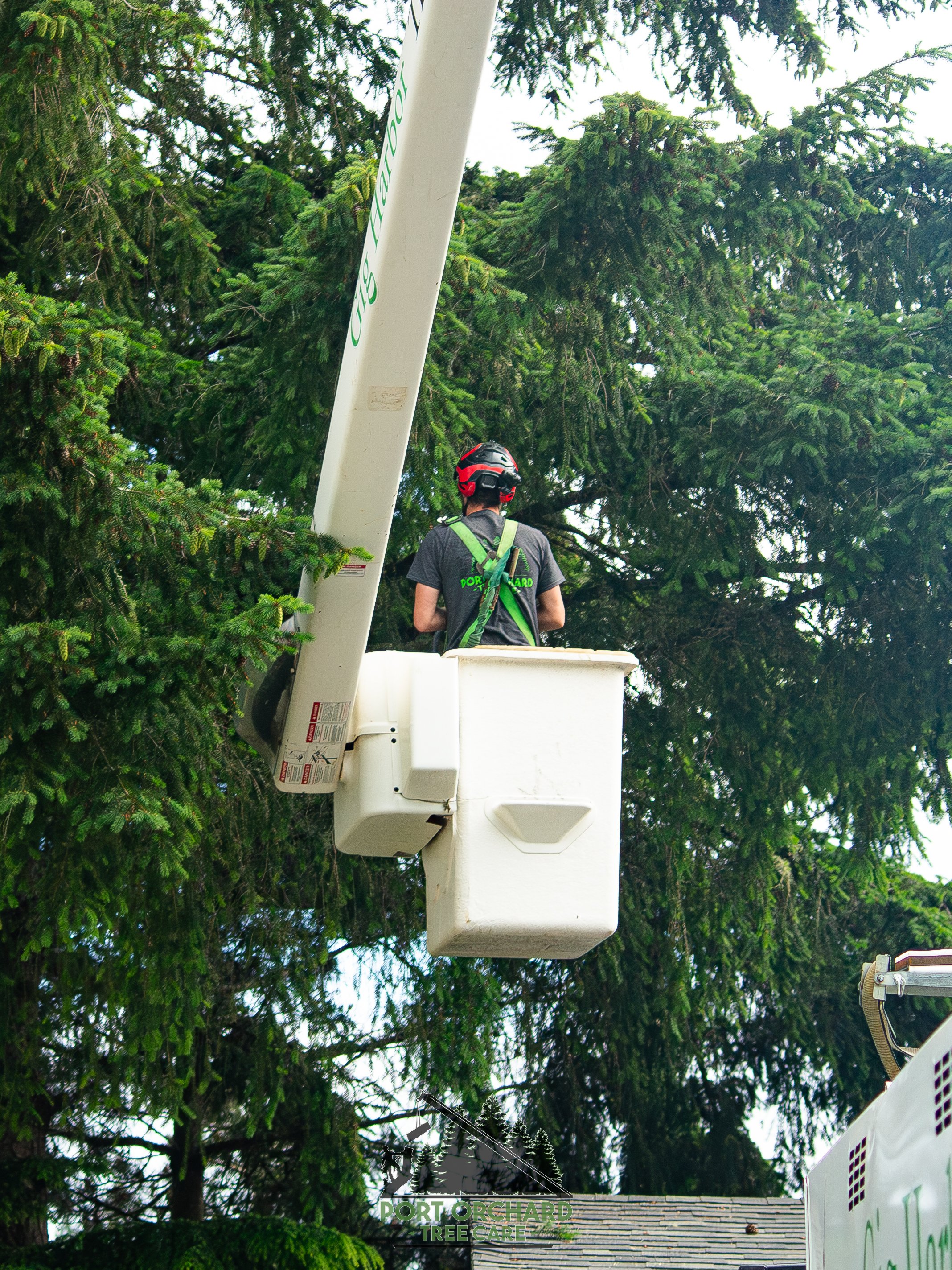 Matt Bucket Trim.jpg