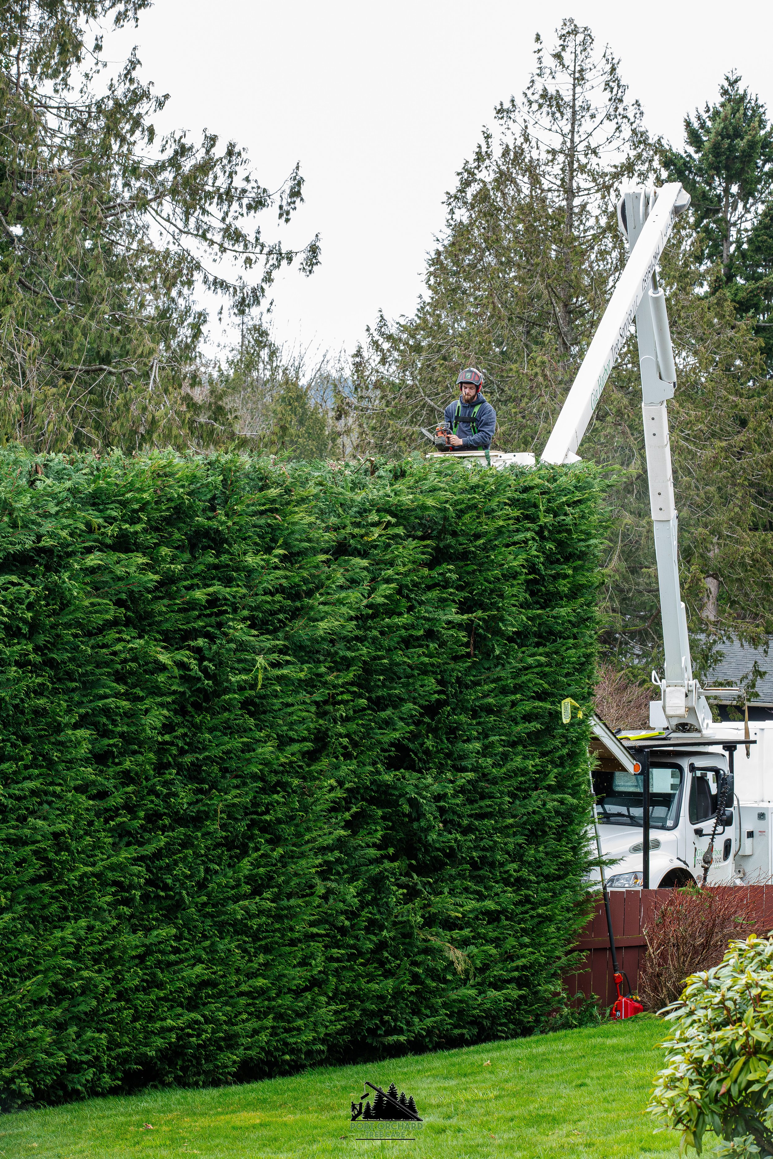 WEB Dave Smith Hedge-1.jpg