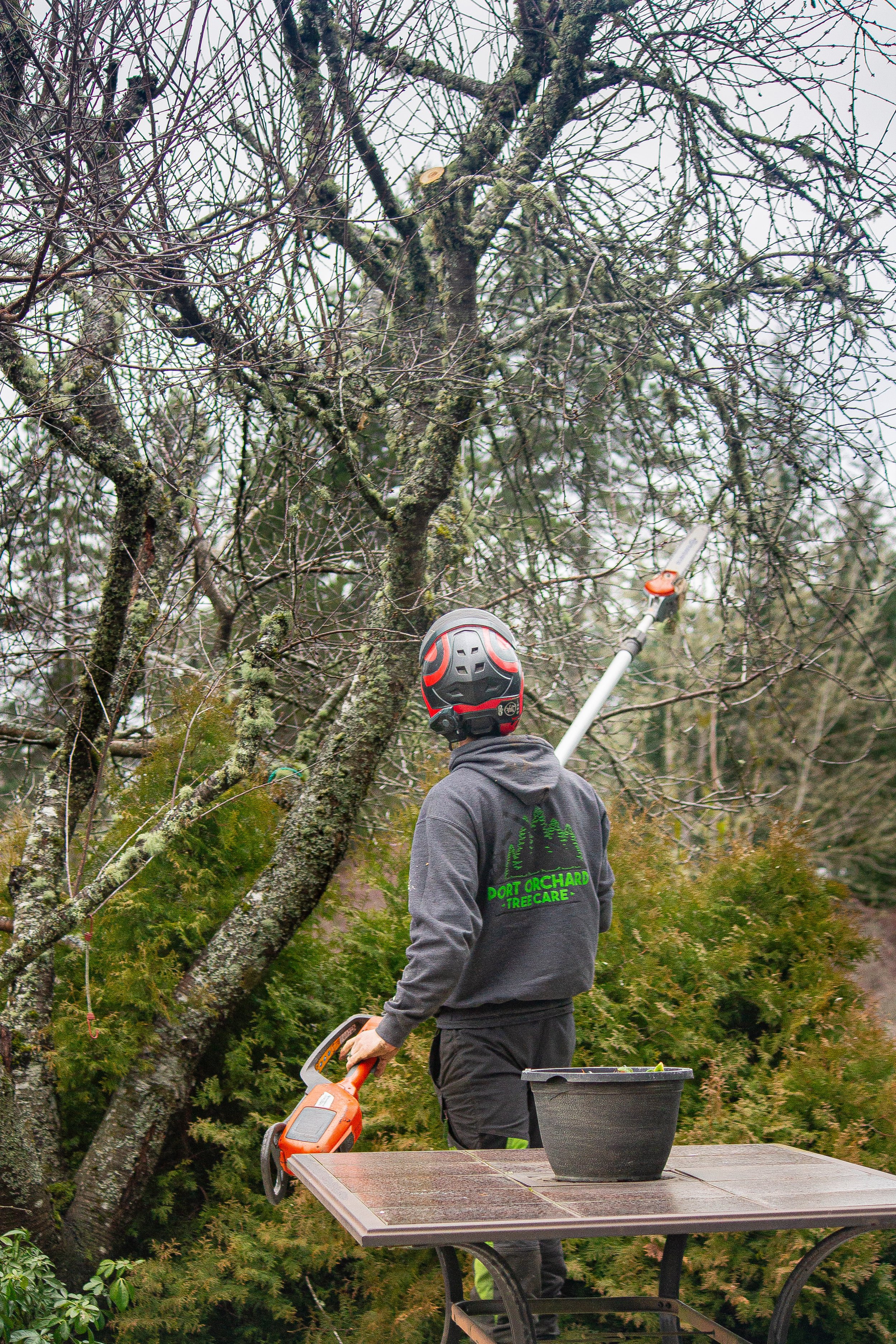 Matt Husq Pole Saw.jpg