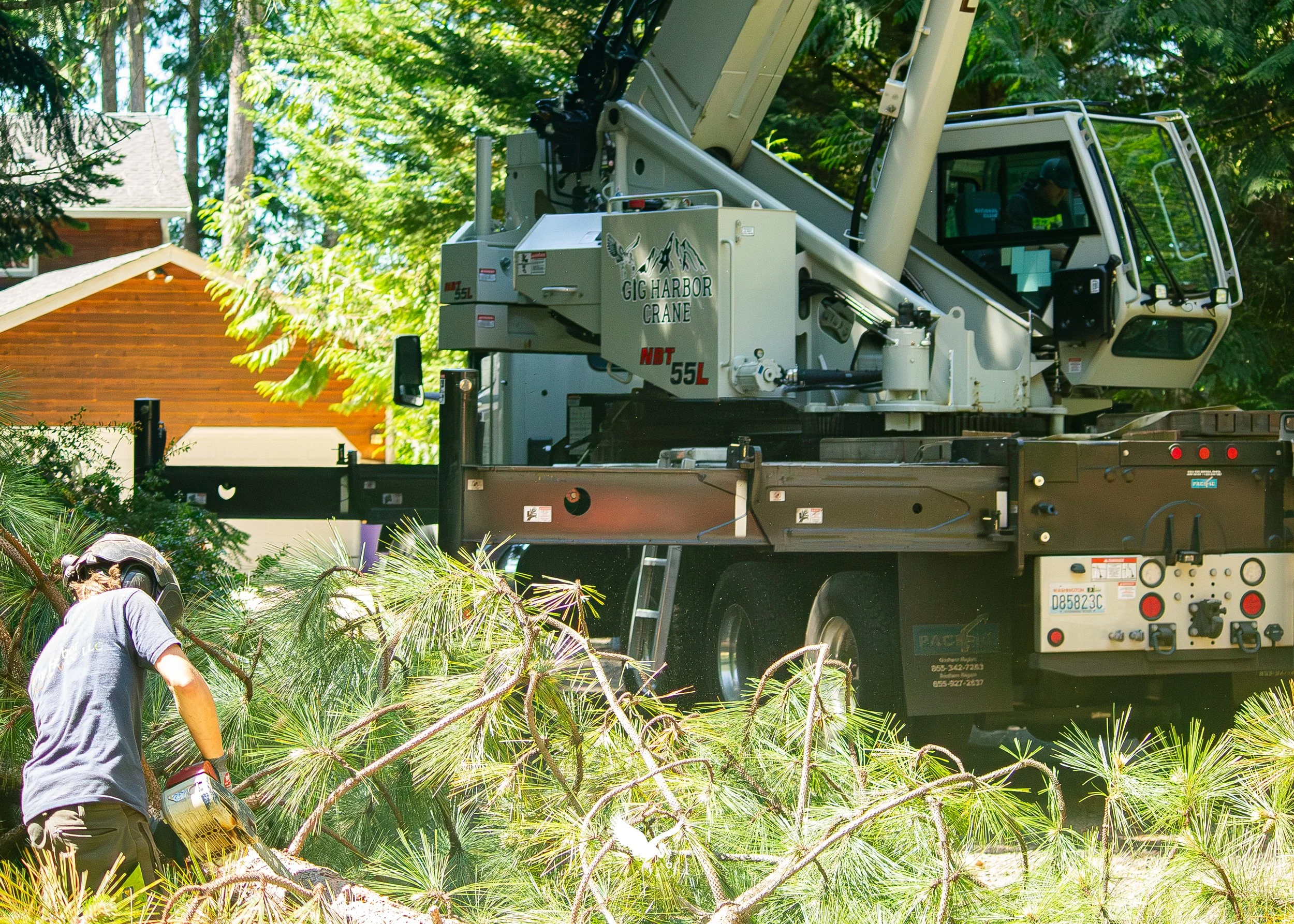 Port Orchard Tree Care