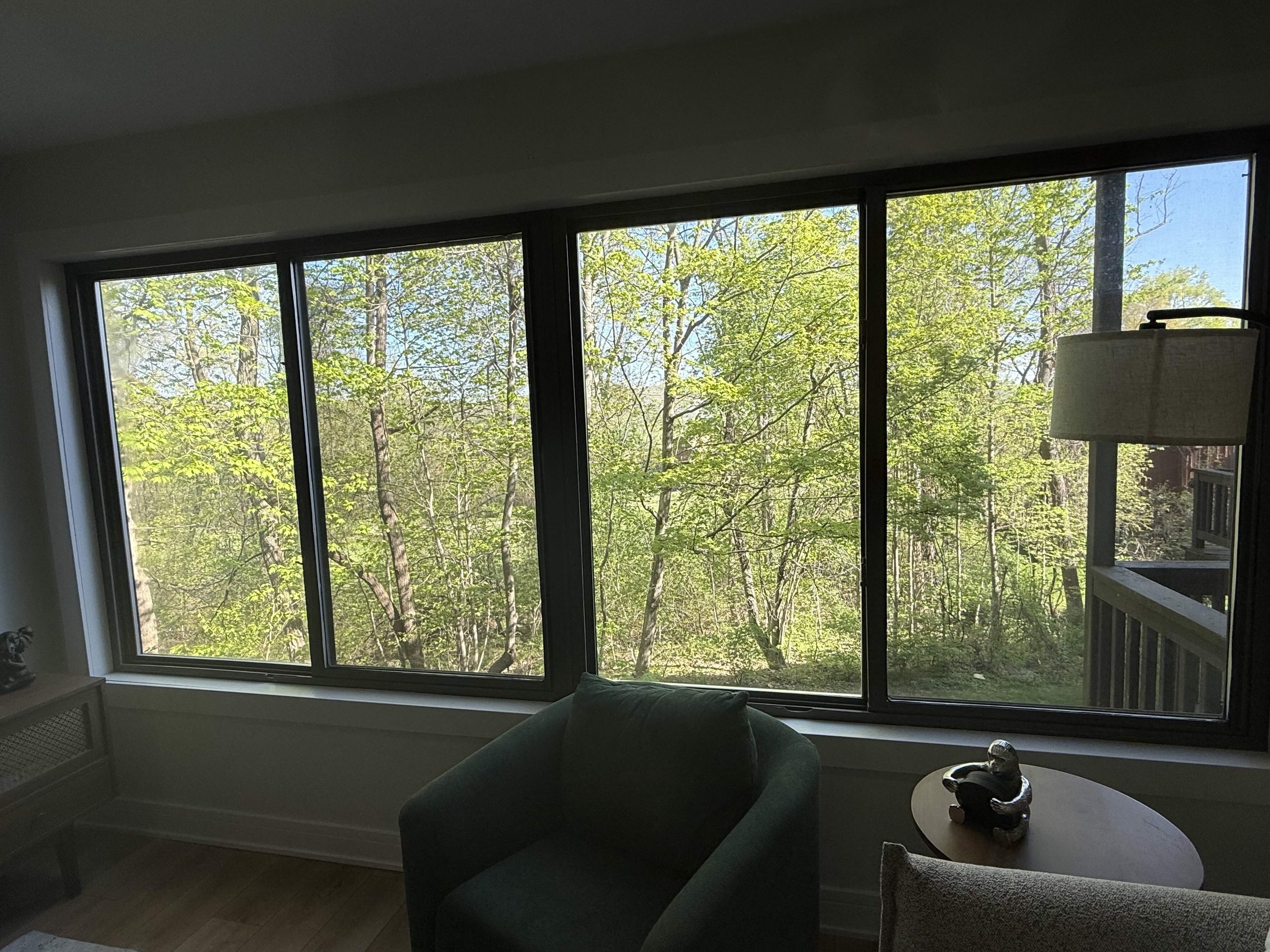 Treetop view from condo close to Mountain Creek