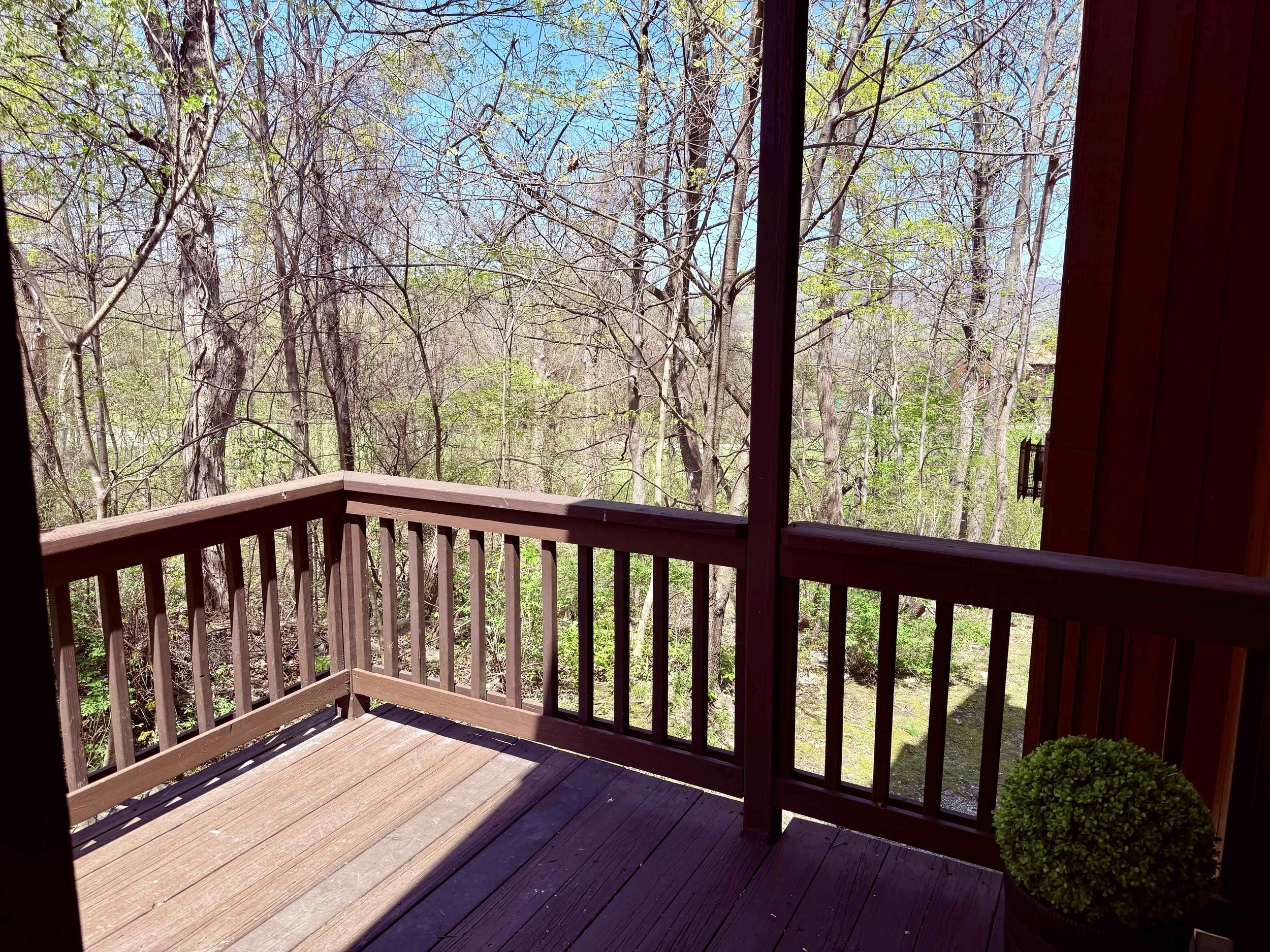 Treetop view from Minerals Condo