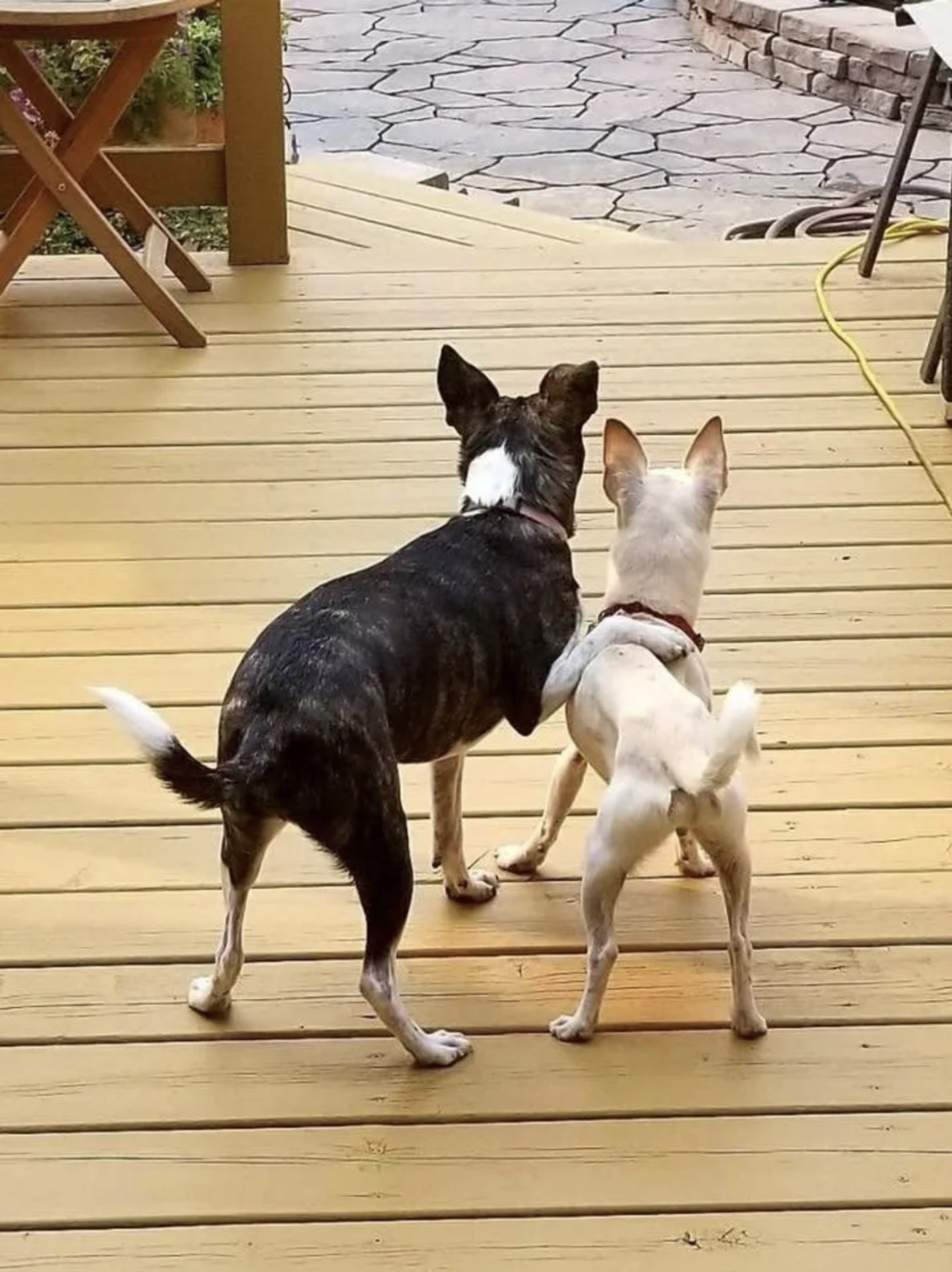 Screen Shot 2024-03-25 at 8.18.10 PM.png