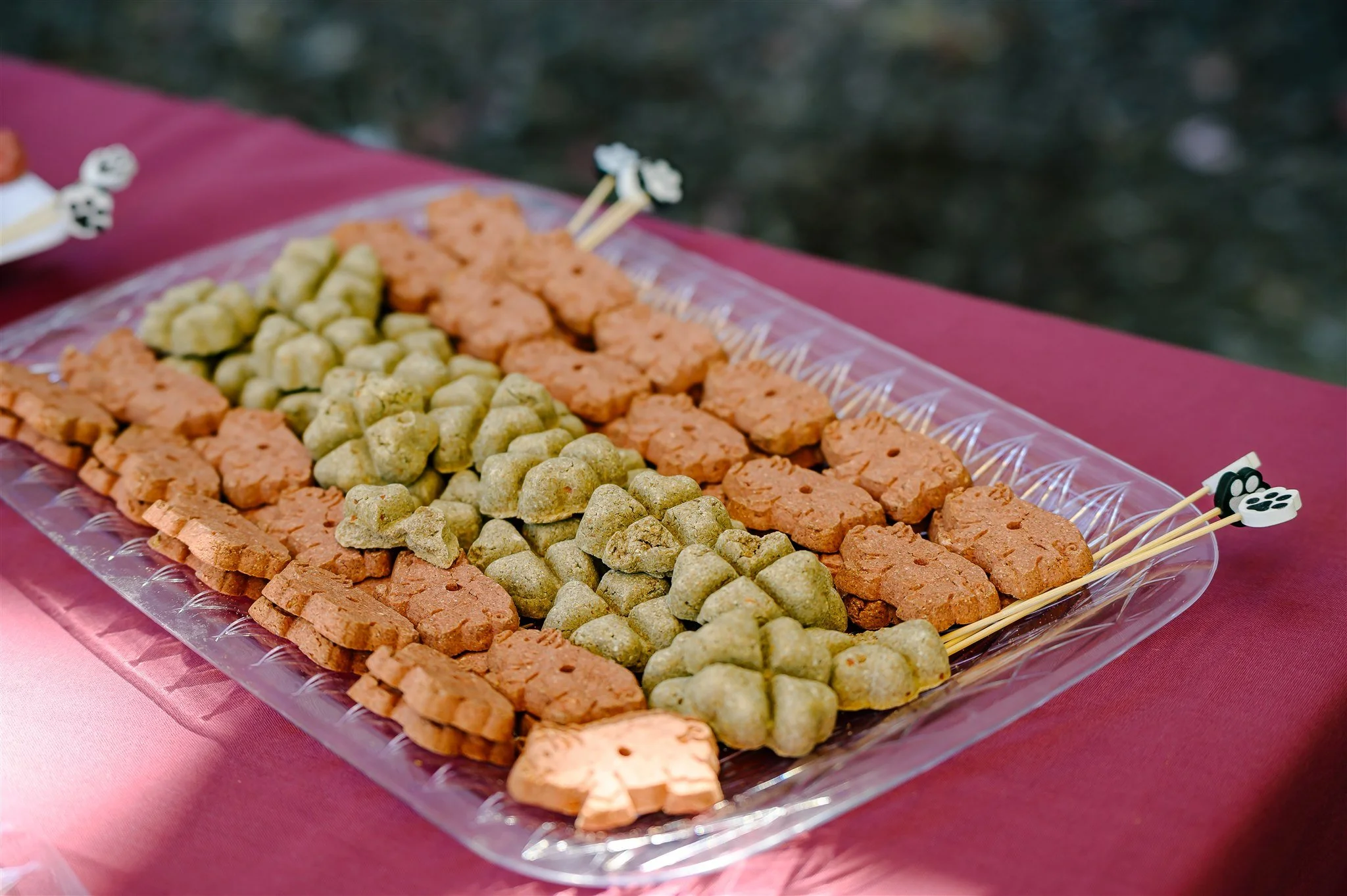 ALP_Wag_Wine_and_Dine_1009.jpg